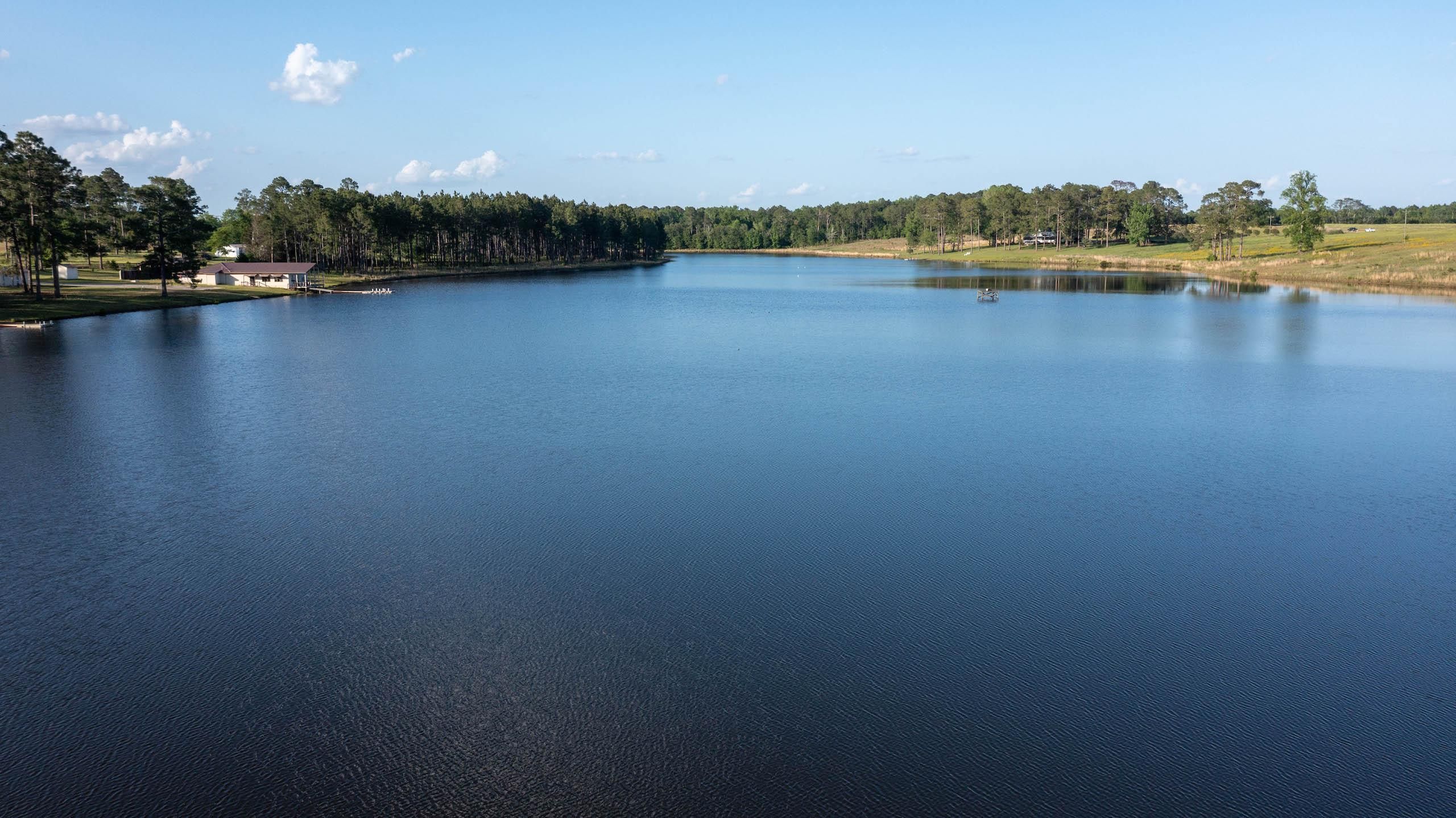 Eastman, Dodge County, GA Recreational Property, Timberland Property