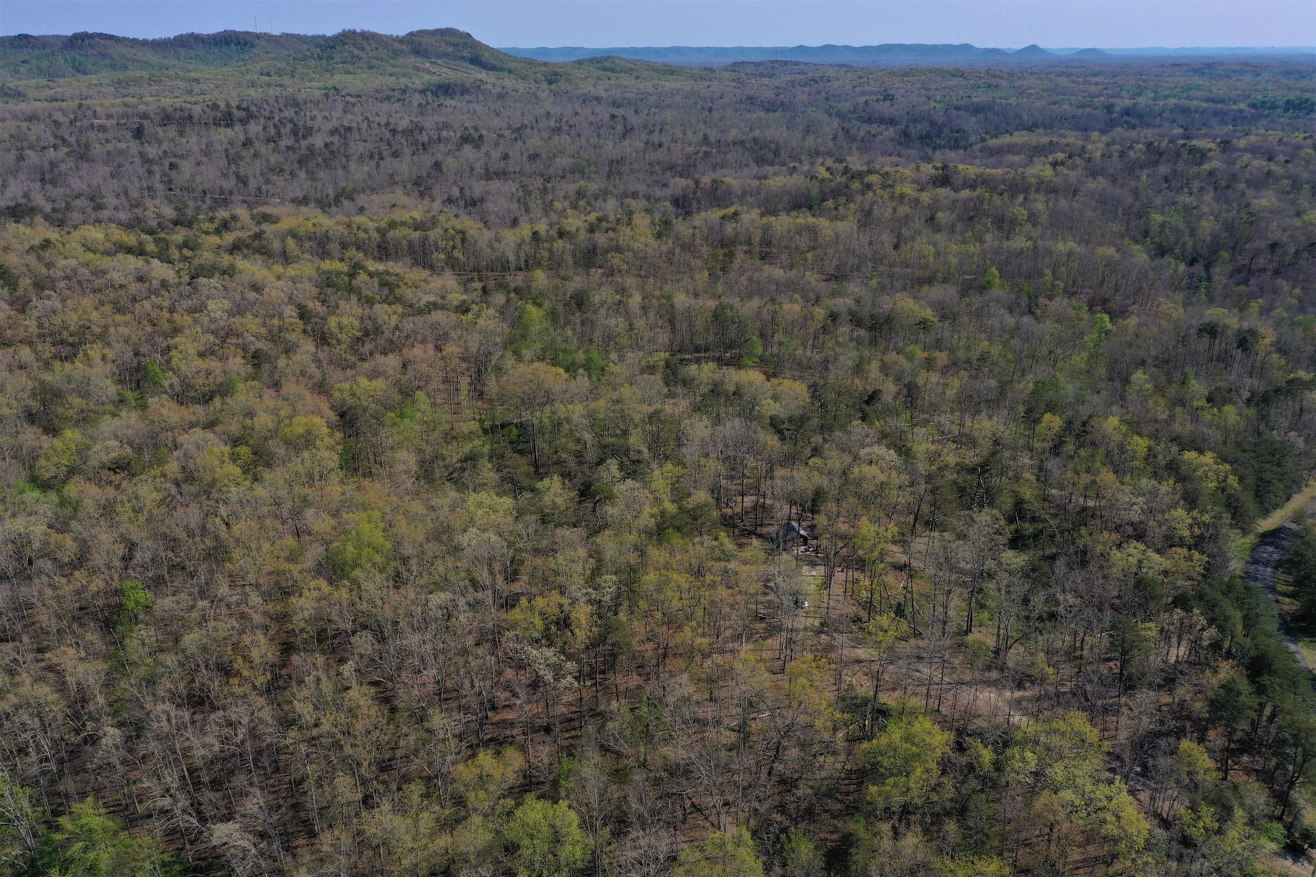 Jeffersonville, Montgomery County, KY Recreational Property, Timberland