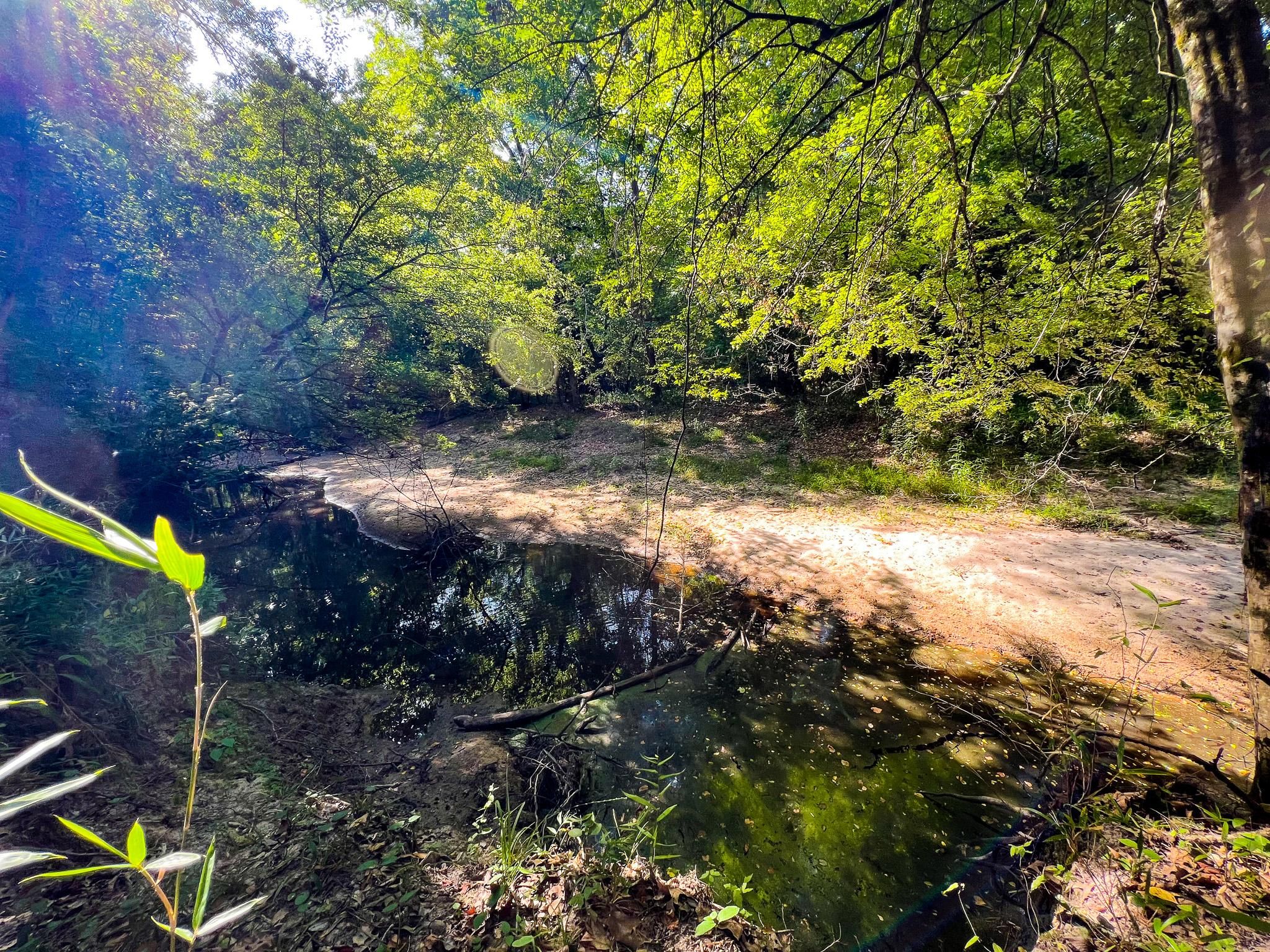 Corrigan, Polk County, TX Recreational Property, Hunting Property for