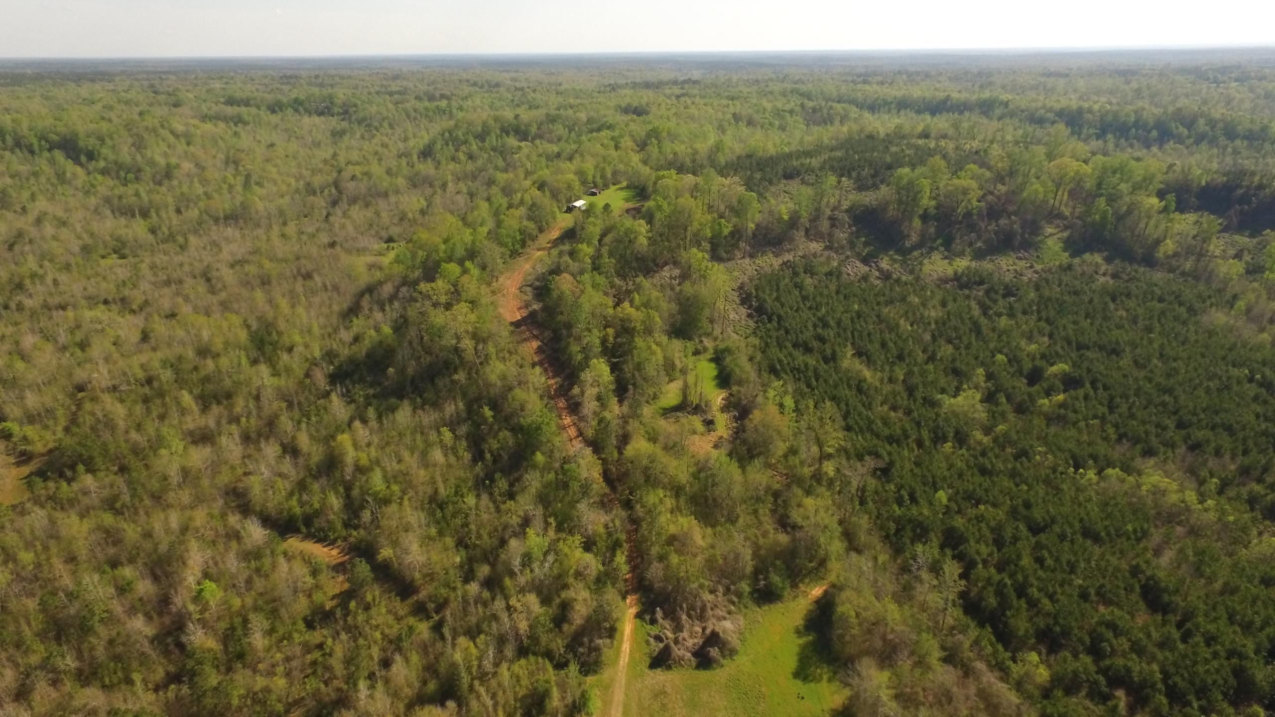 Greenville, Butler County, AL Recreational Property, Timberland