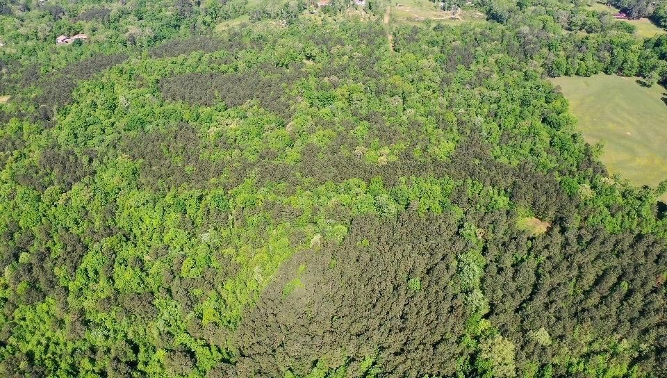 Cleveland, Bradley County, TN Recreational Property, Timberland