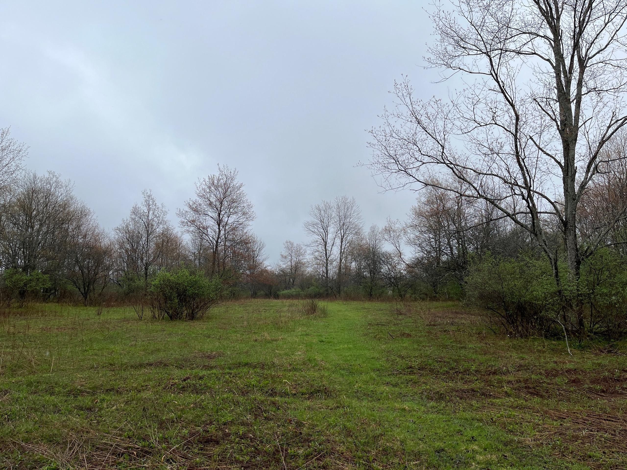 Rexville, Steuben County, NY Recreational Property, Timberland Property
