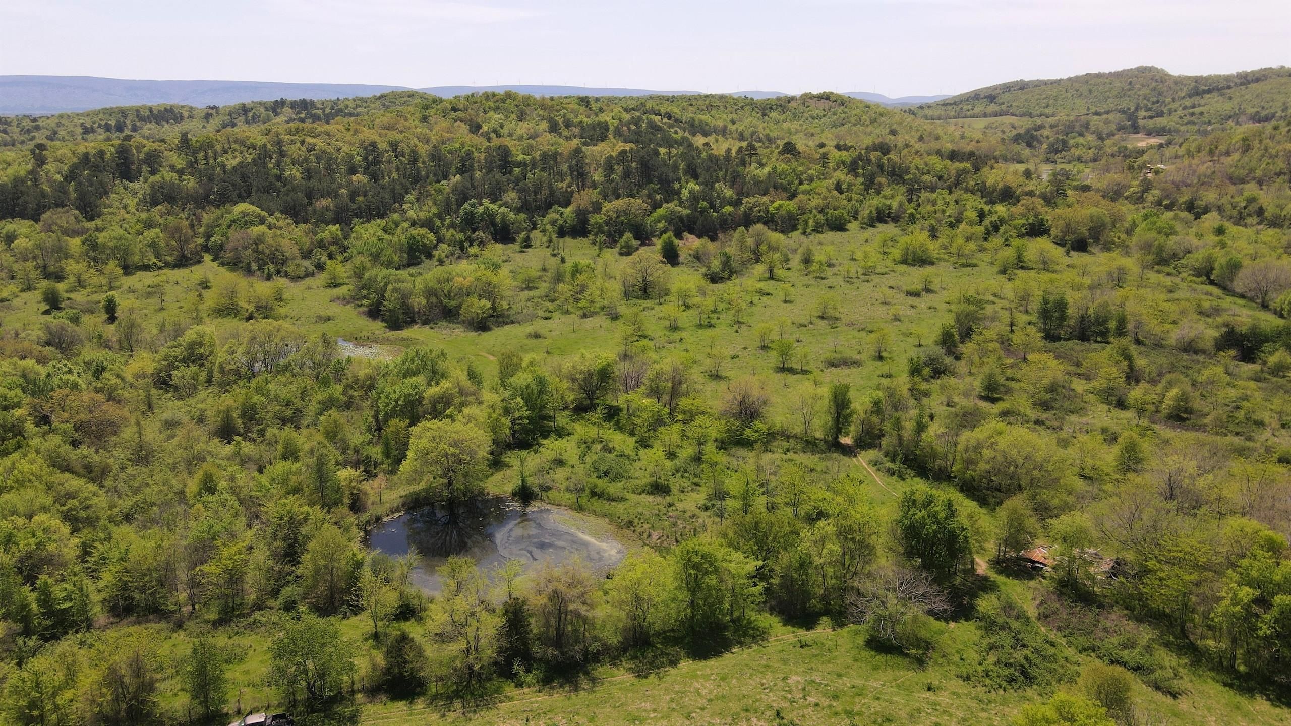 Talihina, Latimer County, OK Recreational Property, Timberland Property