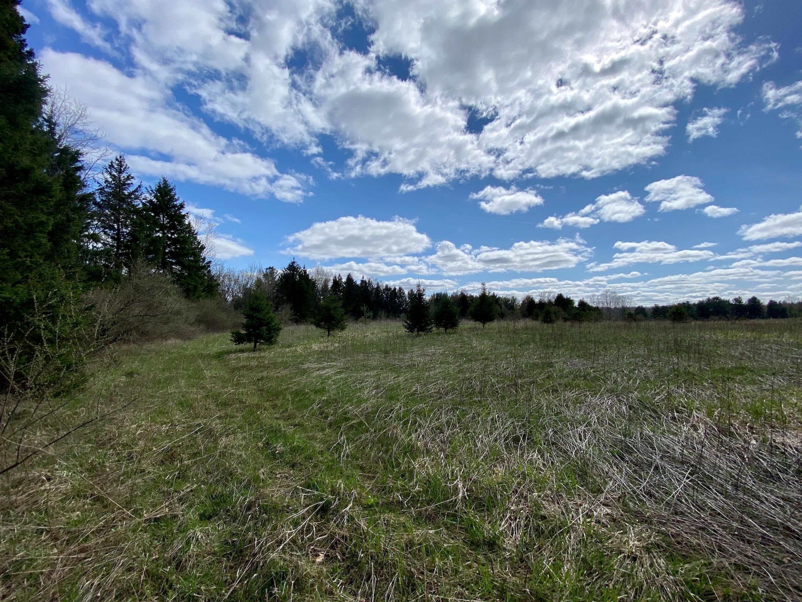 Lapeer, Lapeer County, MI Recreational Property, Hunting Property for