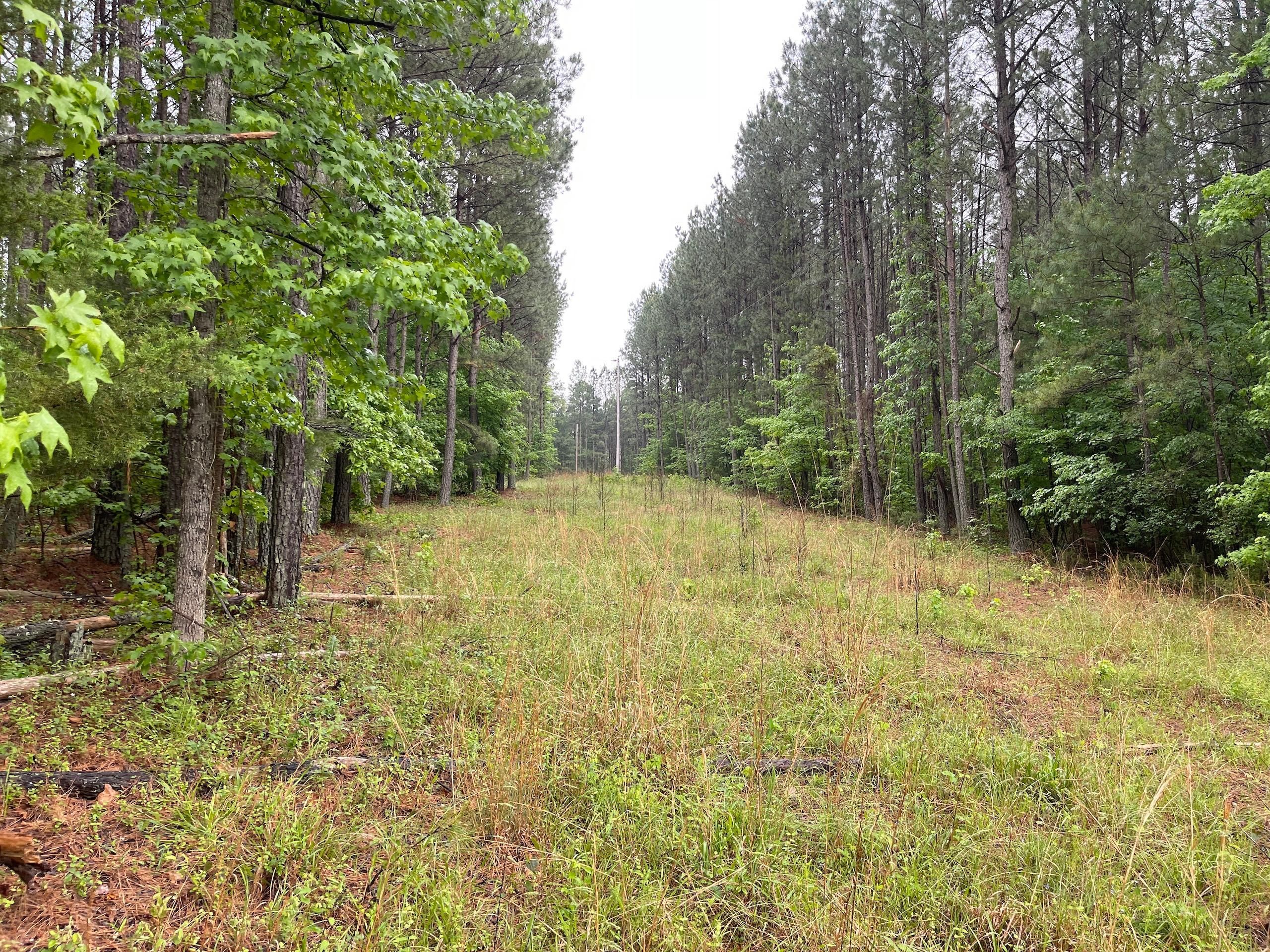 Creedmoor, Wake County, NC Recreational Property, Timberland Property