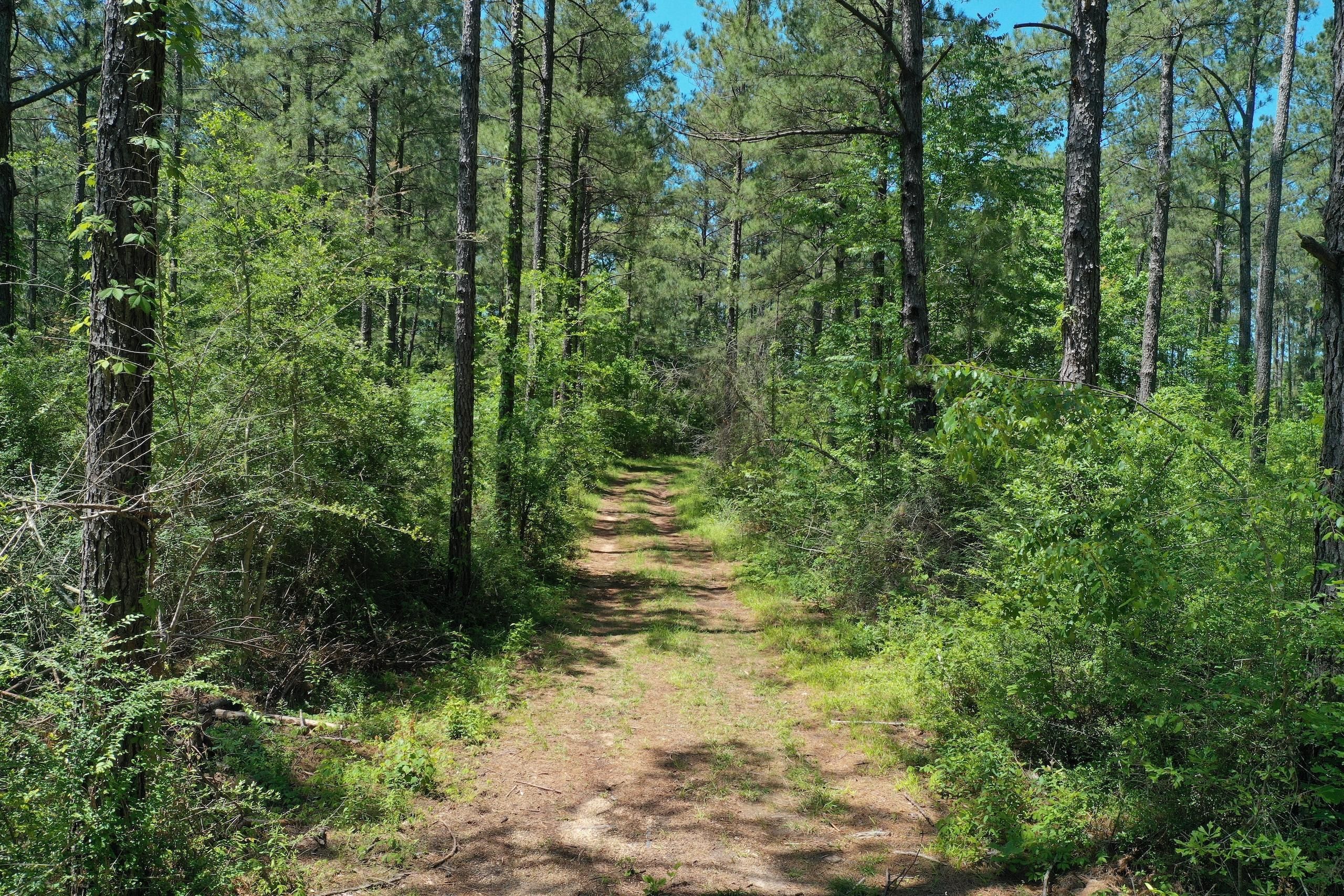 Greensburg, Saint Helena Parish, LA Recreational Property, Timberland