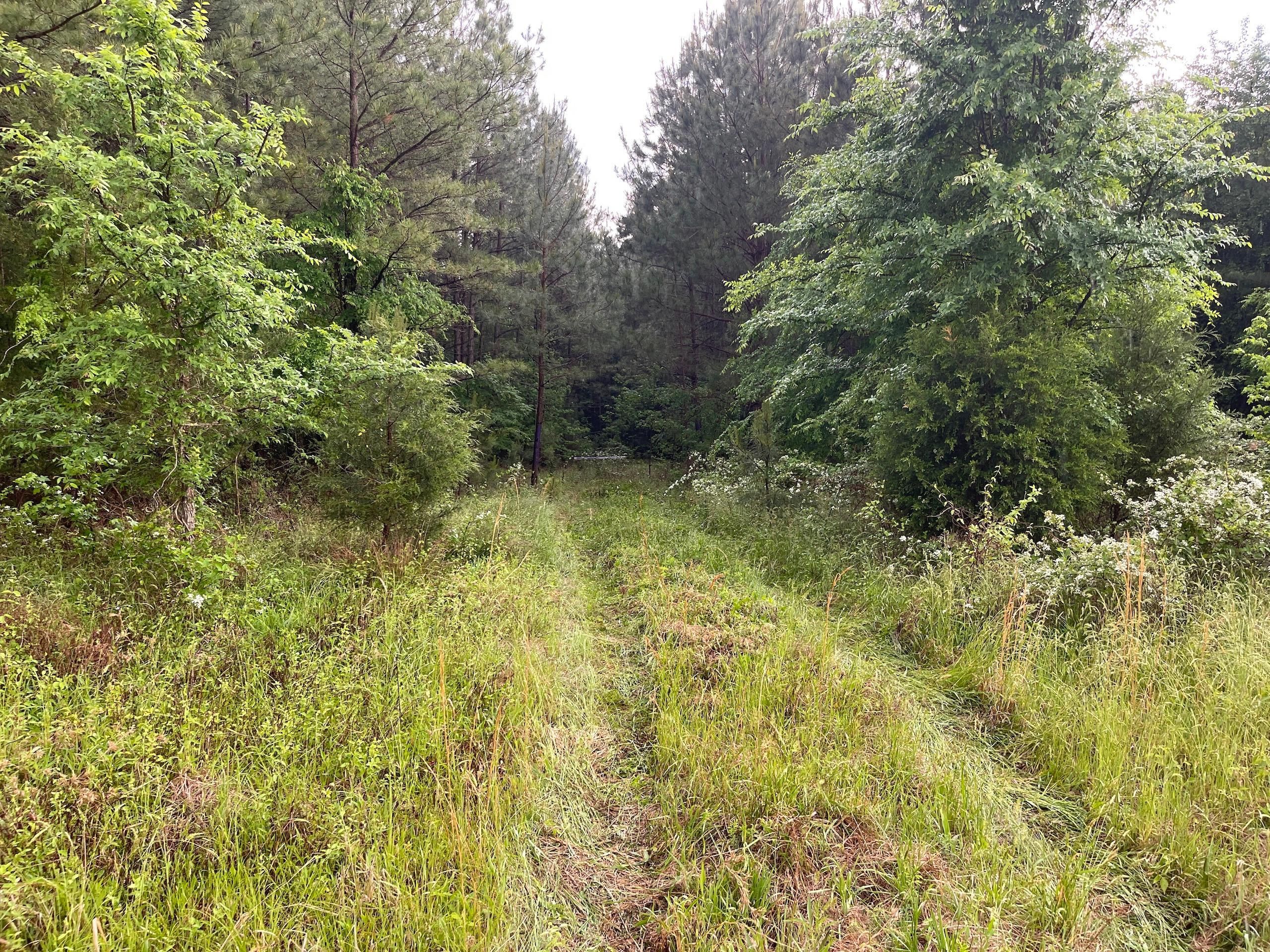 Creedmoor, Wake County, NC Recreational Property, Timberland Property