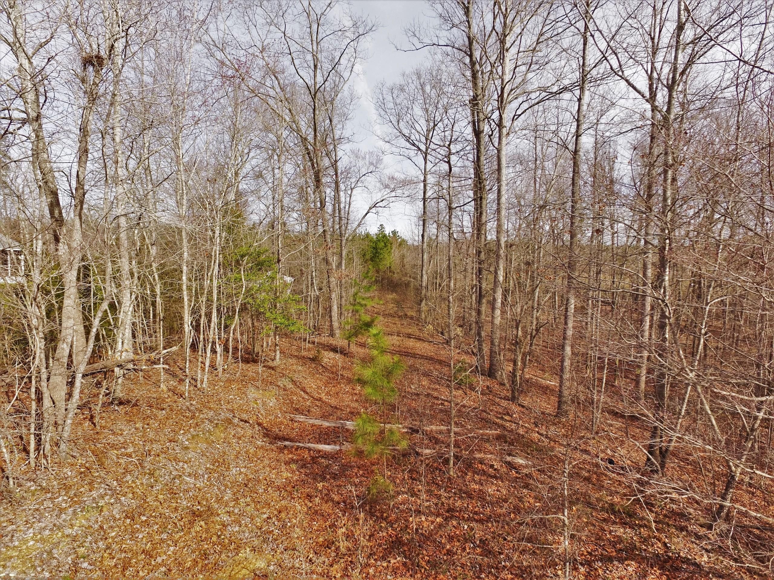 Lexington, Davidson County, NC Recreational Property, Timberland Property, Hunting Property