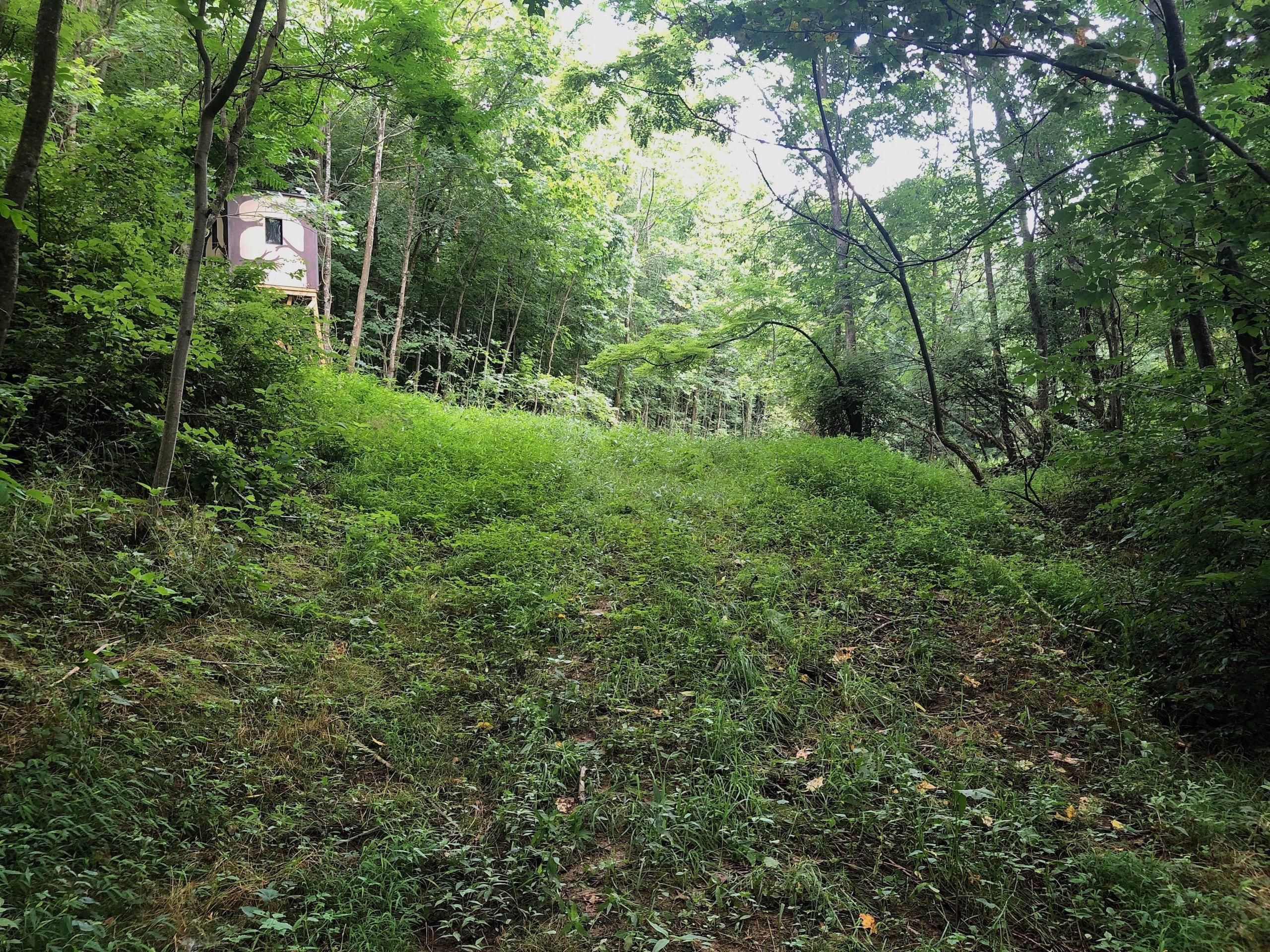 New Matamoras, Washington County, OH Recreational Property, Timberland