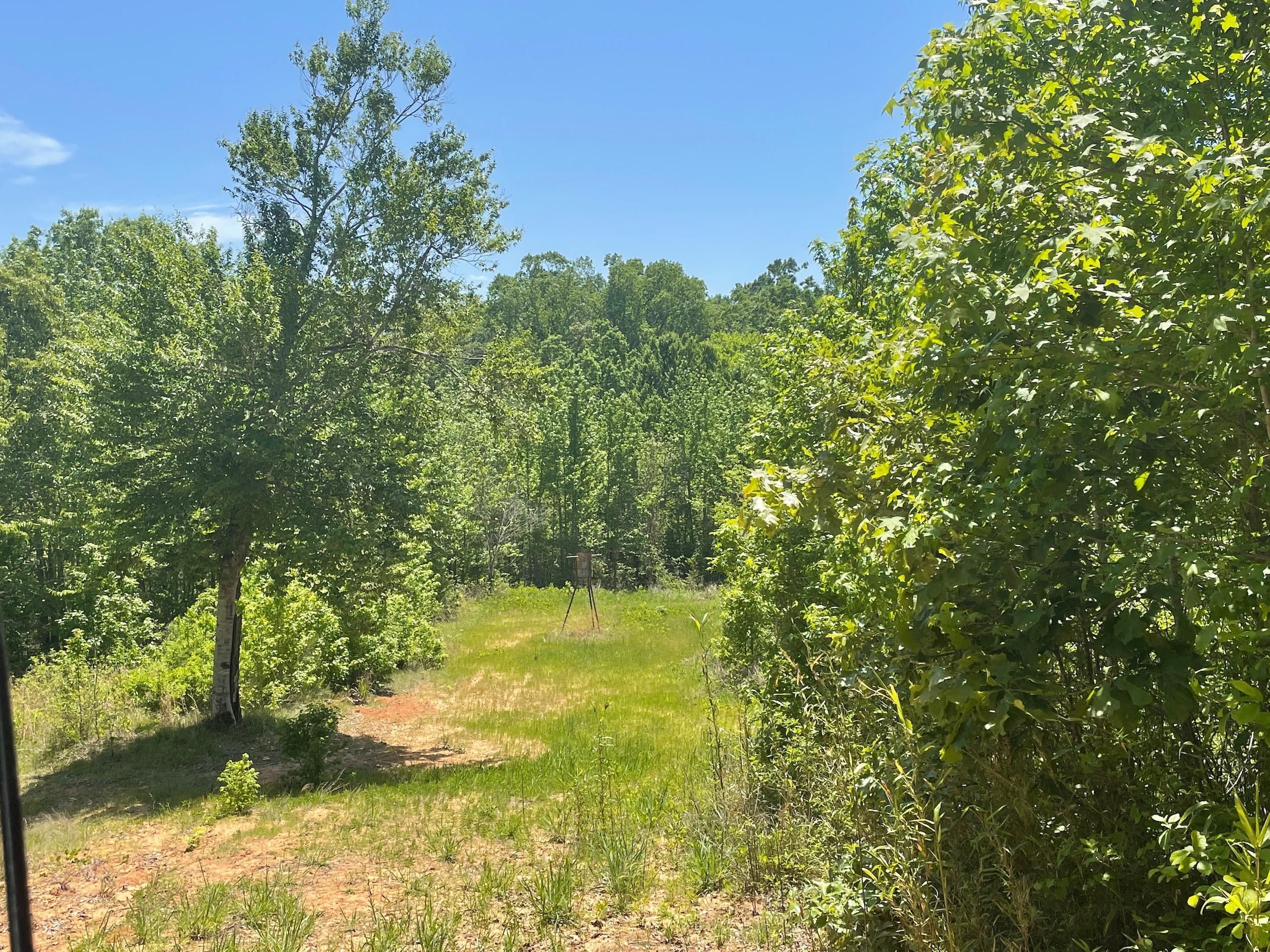 Enterprise, Catahoula Parish, LA Recreational Property, Timberland