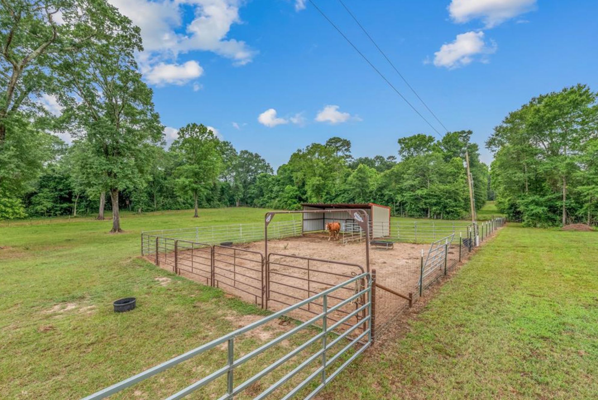 Huntsville, Walker County, TX Farms and Ranches, Horse Property for