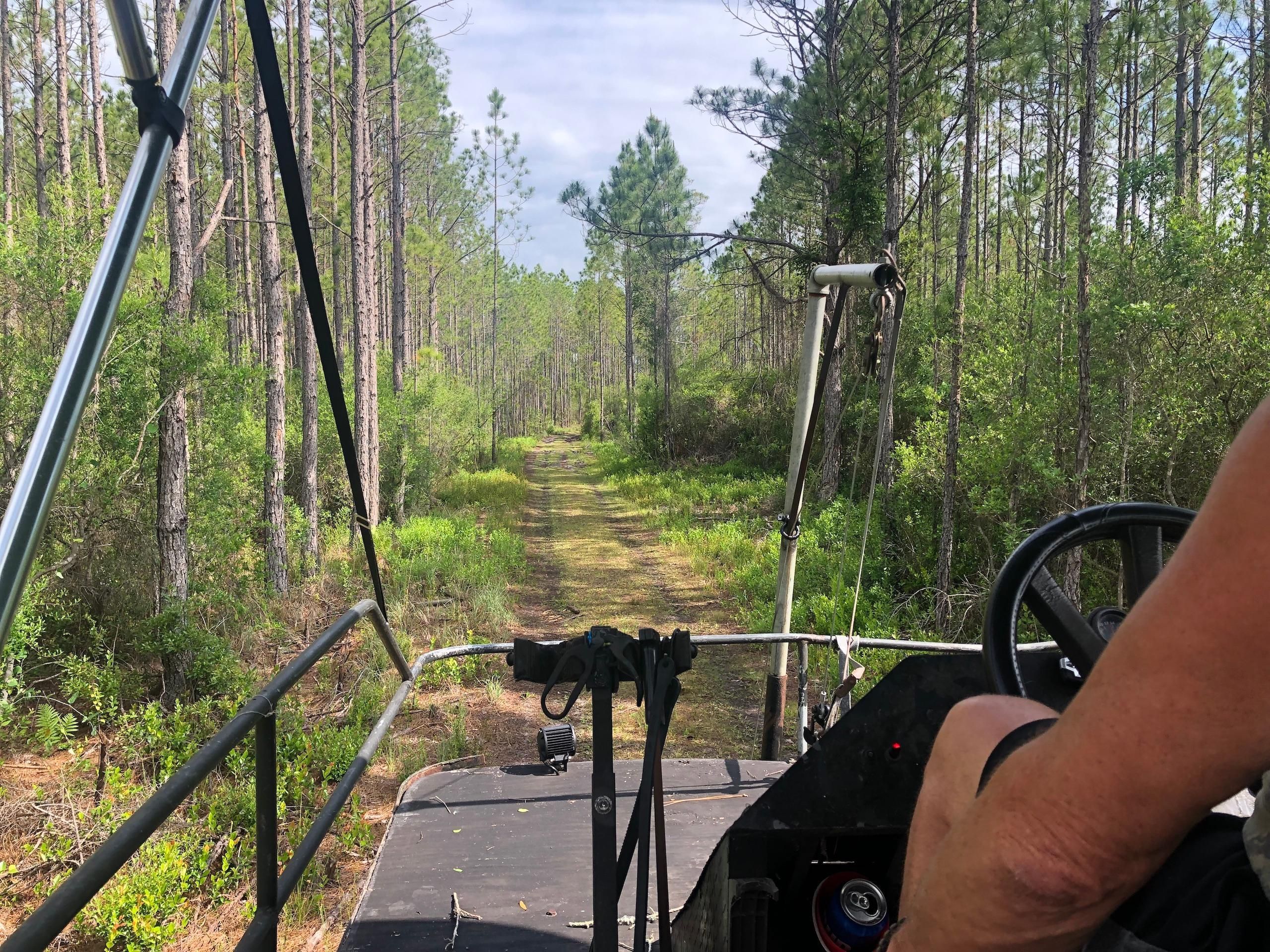 Perry, Taylor County, FL Recreational Property, Timberland Property