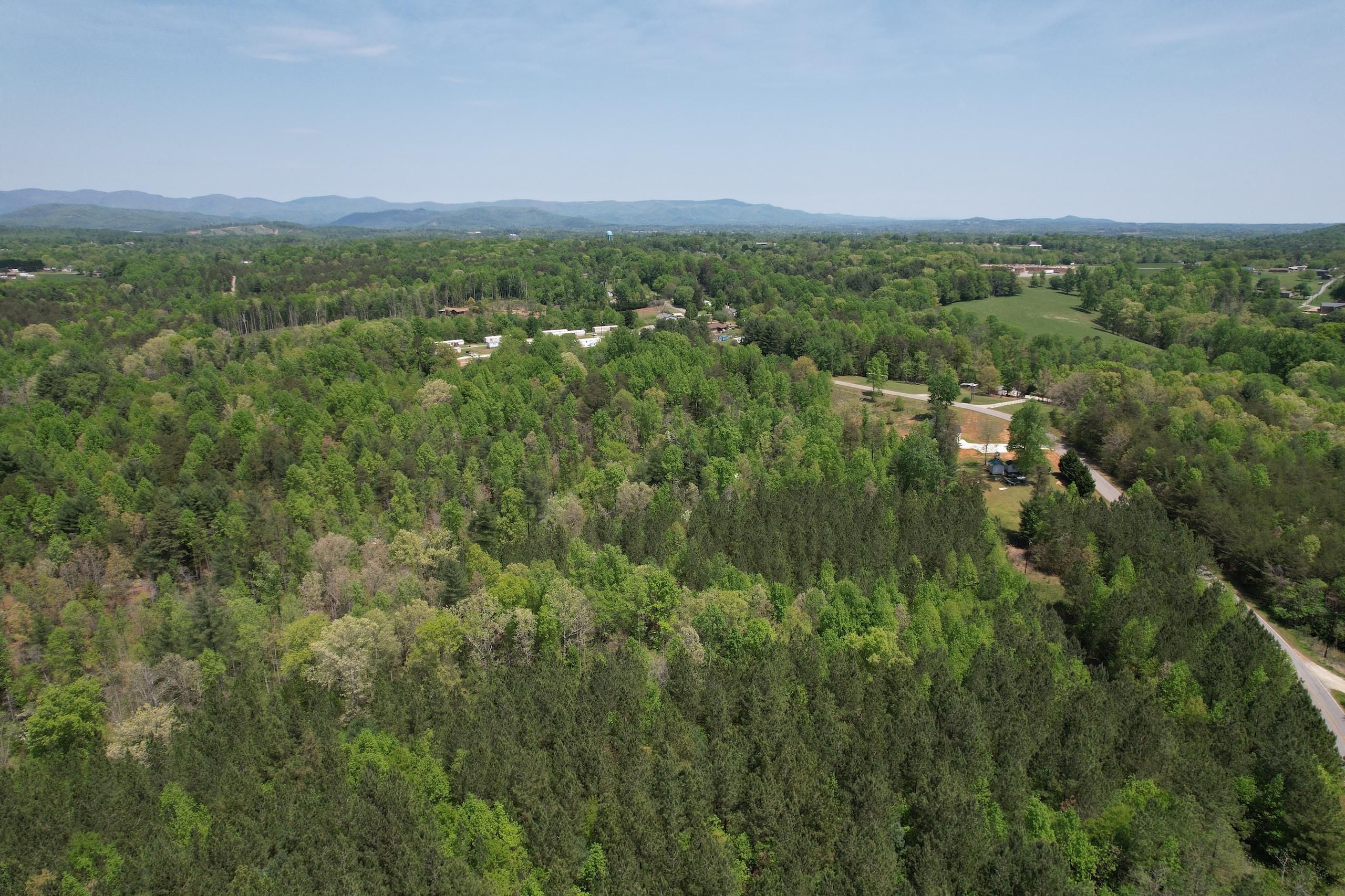 Wilkesboro, Wilkes County, NC Recreational Property, Timberland