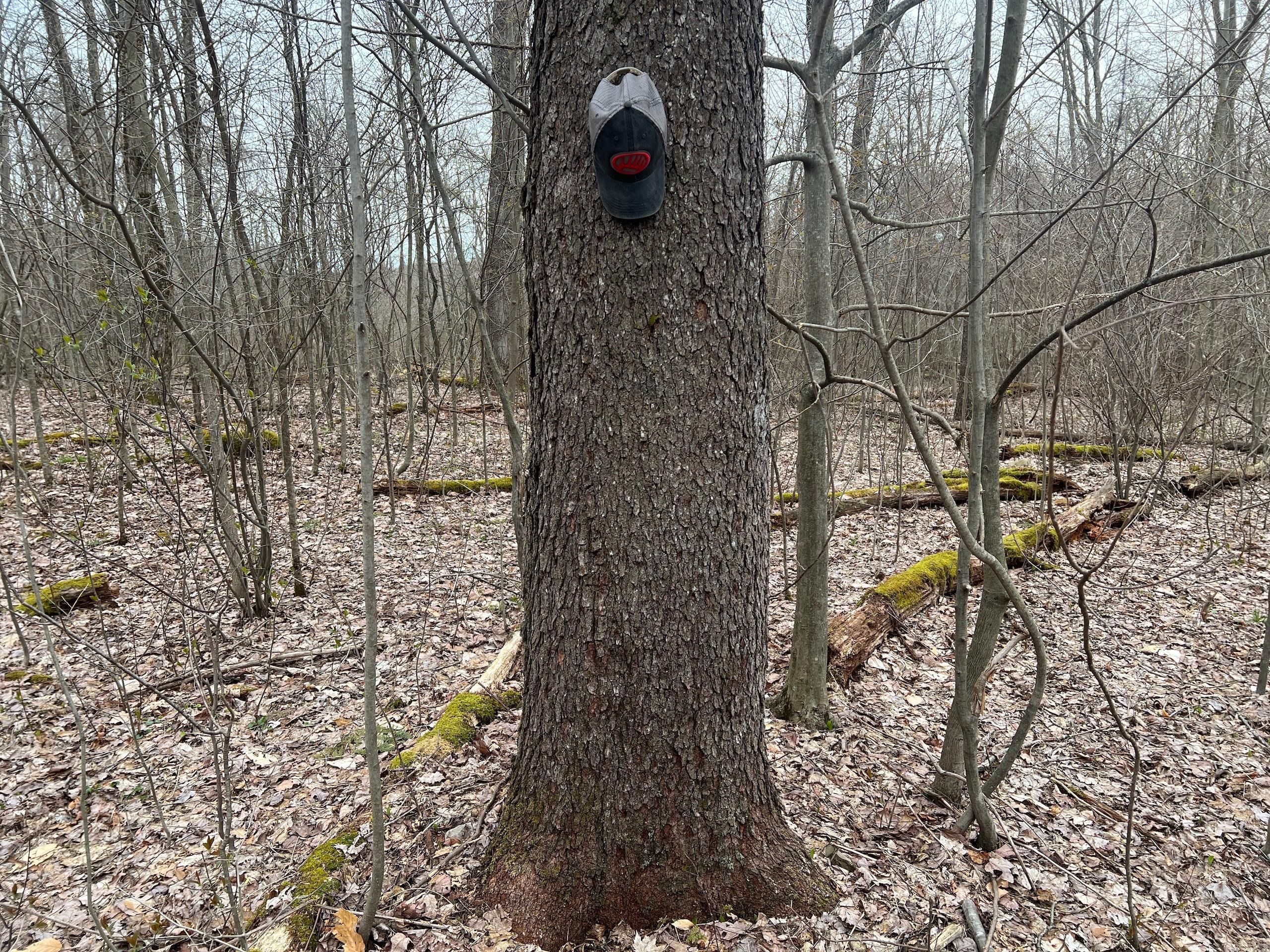 Centerville, Crawford County, PA Recreational Property, Timberland