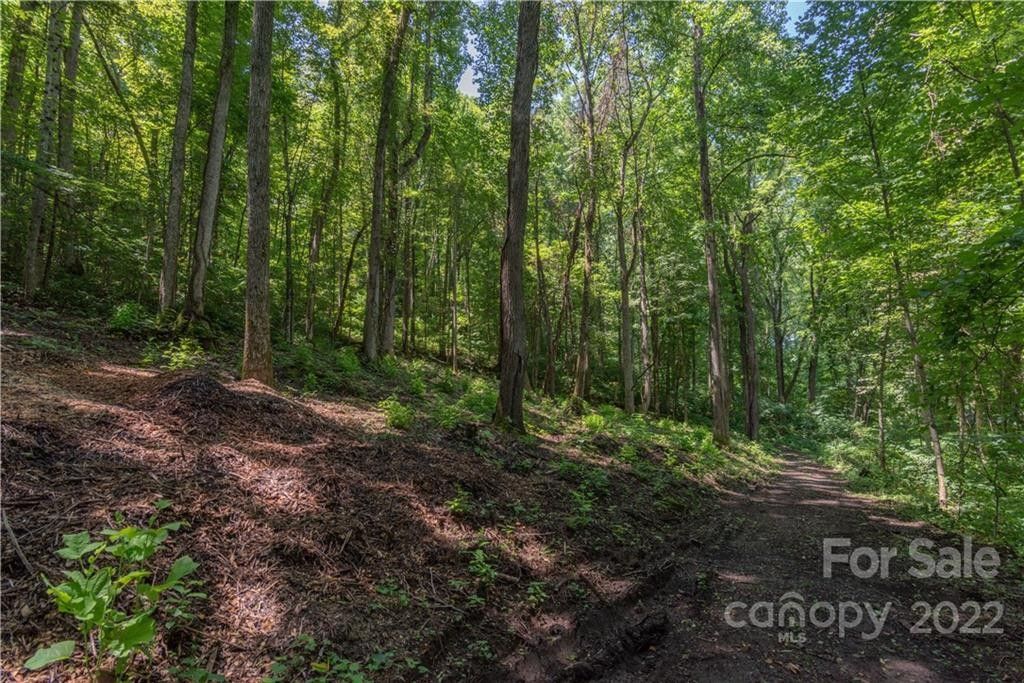 Waynesville, Haywood County, NC Undeveloped Land for sale Property ID 414449529 LandWatch