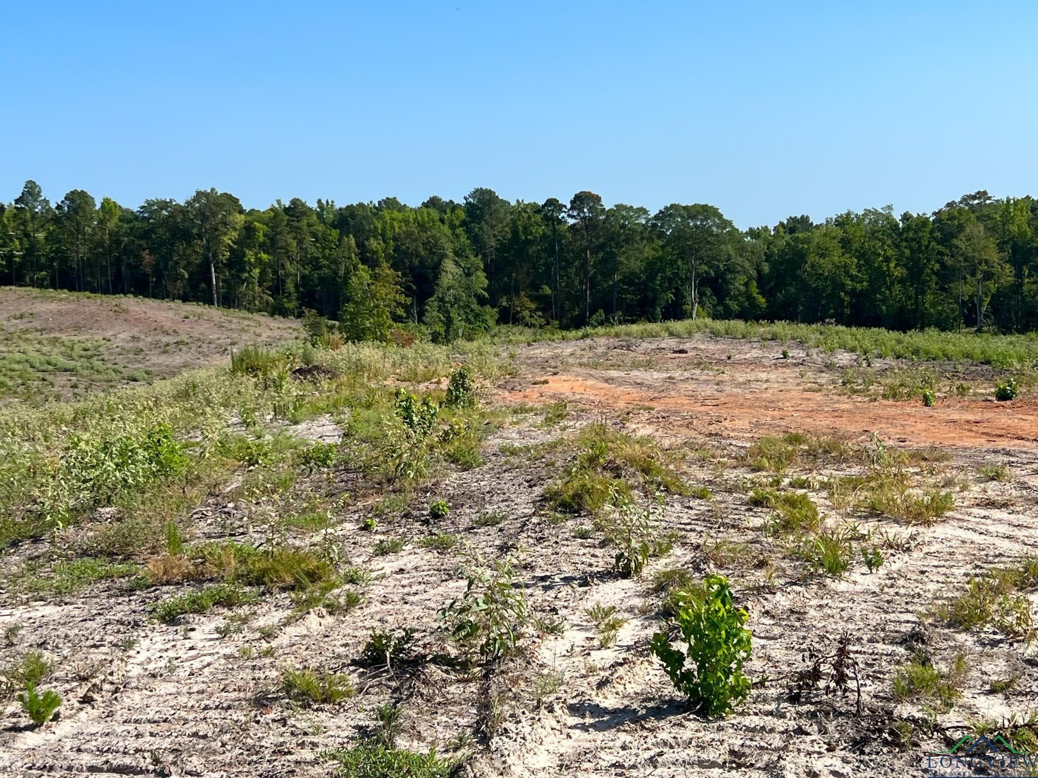 Gilmer, Upshur County, TX Undeveloped Land for sale Property ID