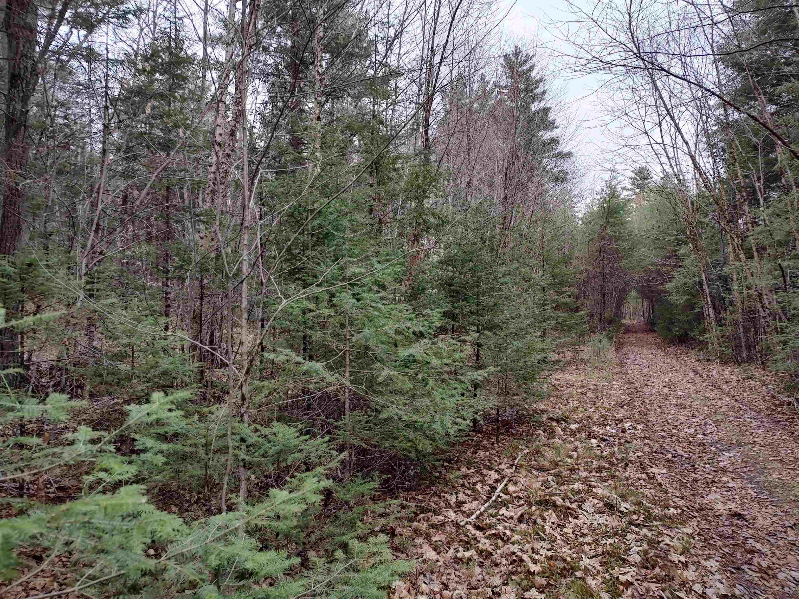 Haverhill, Grafton County, NH Undeveloped Land, Homesites for sale Property ID 414450109
