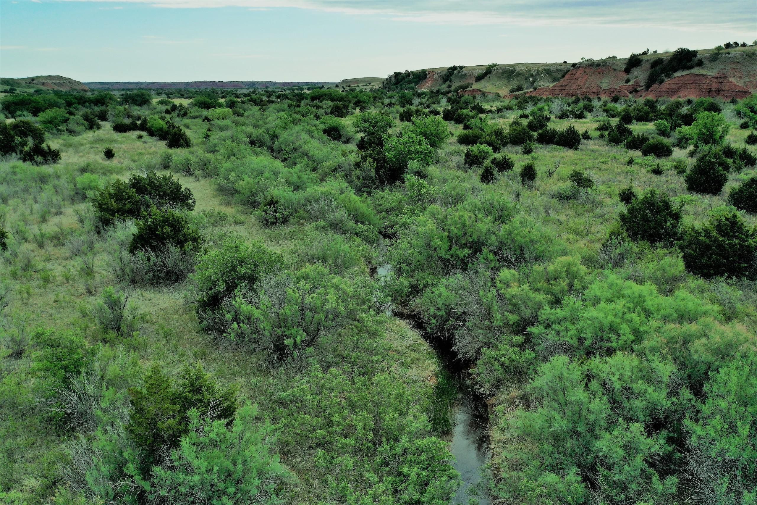 Freedom, Woodward County, OK Farms and Ranches, Hunting Property for