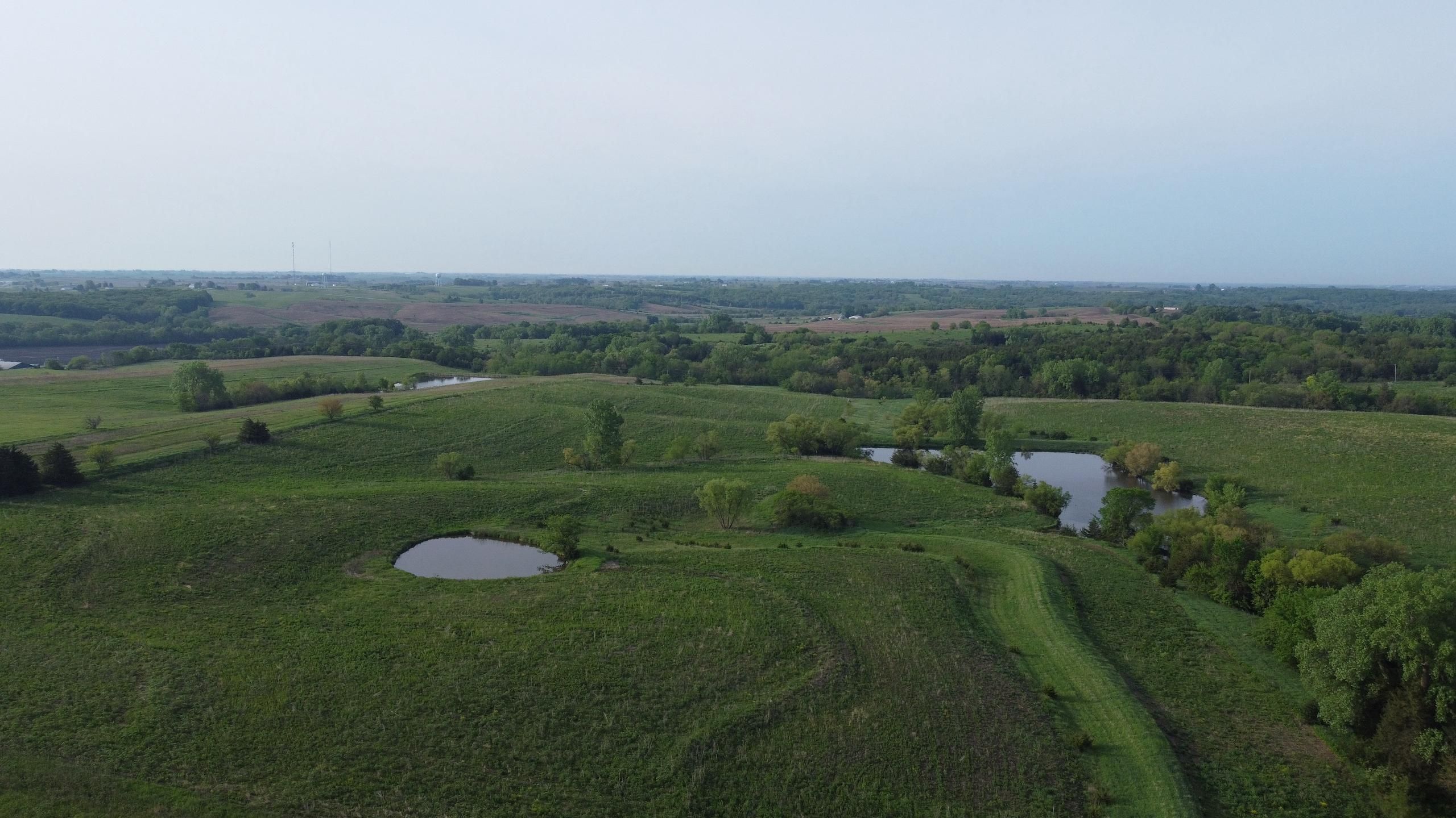 Mount Ayr, Ringgold County, IA Recreational Property, Timberland