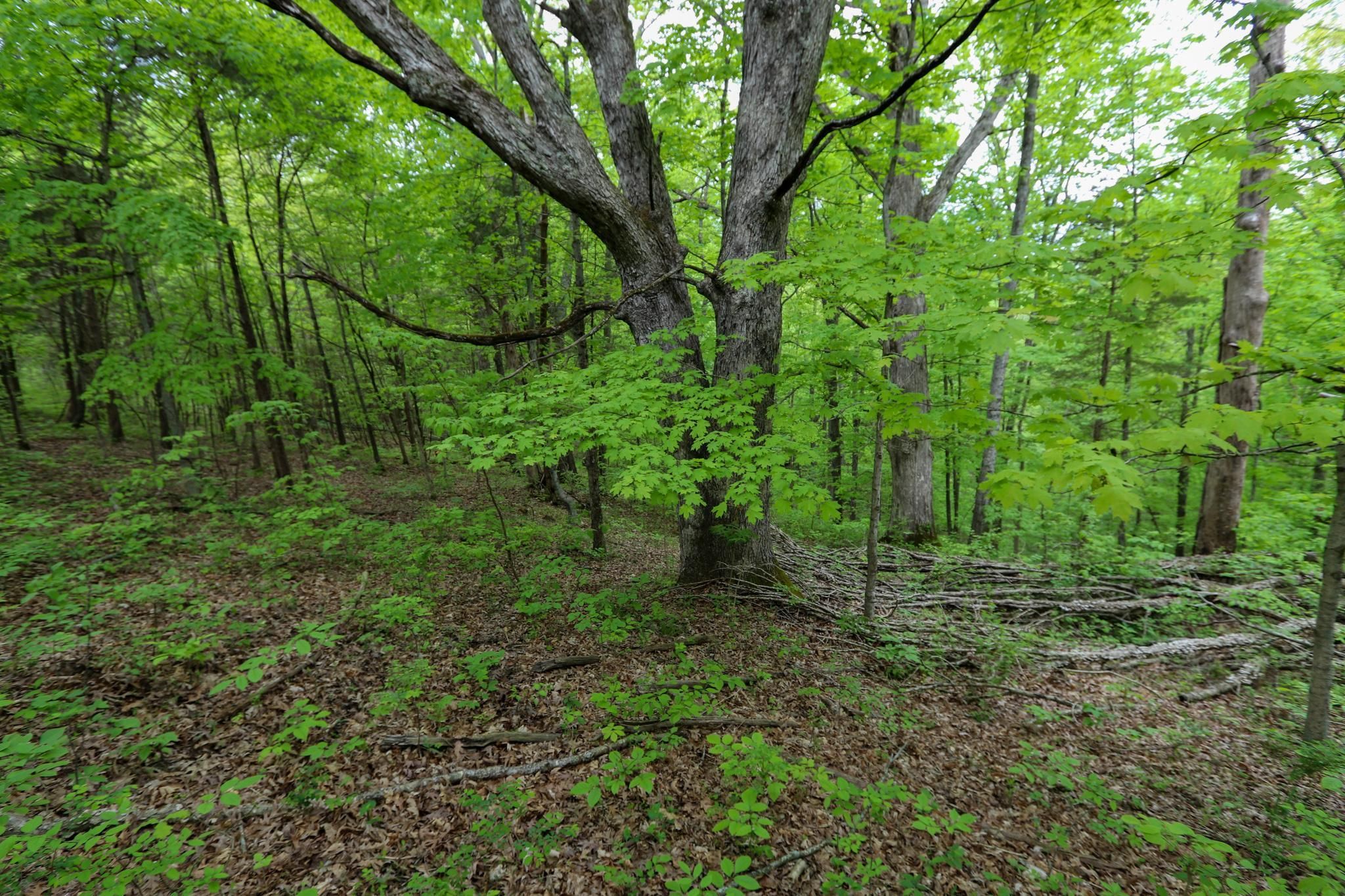 5655 Us Highway 421 N, LotWP001, Frankfort, KY 40601 LandWatch