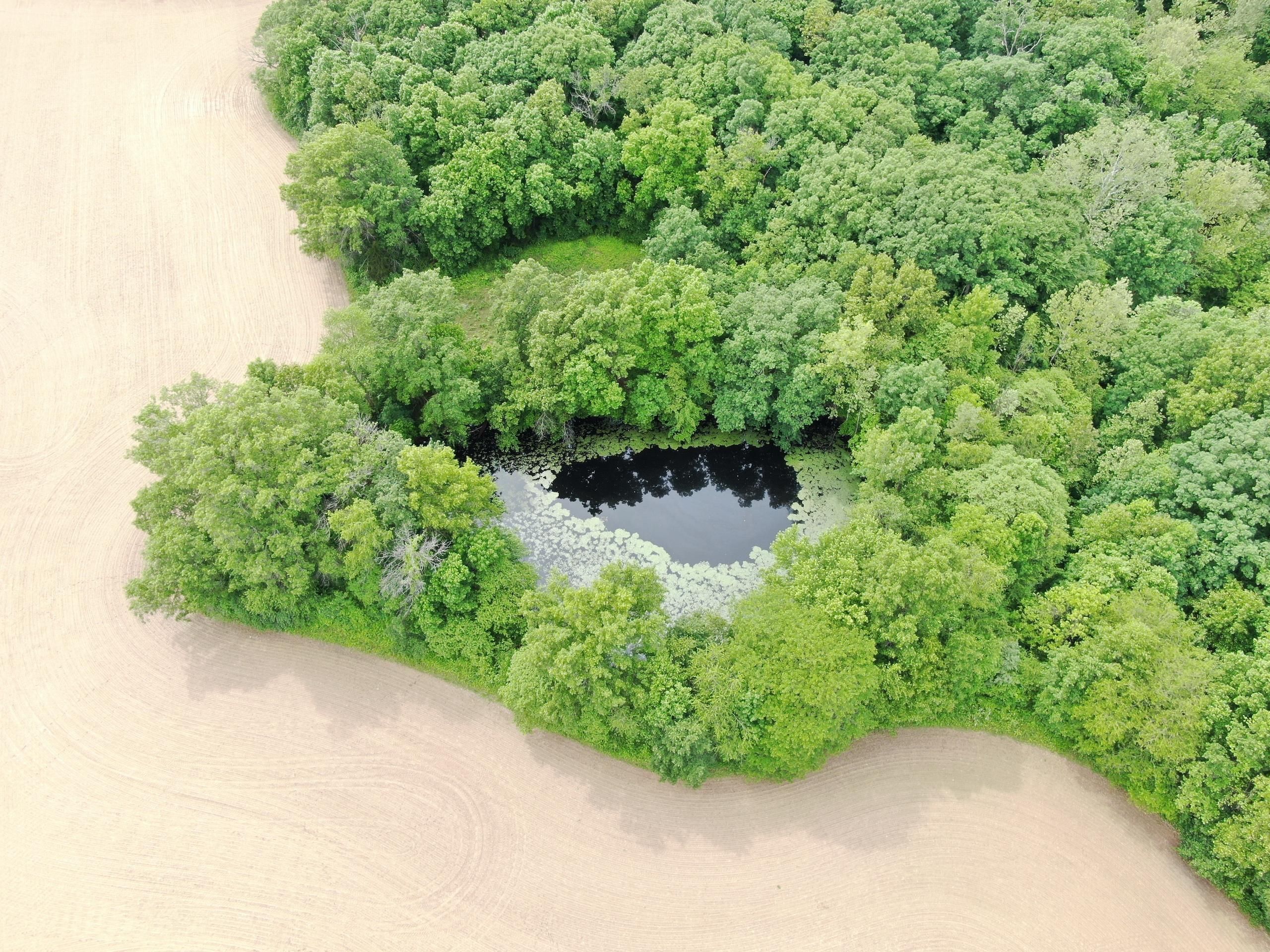 Martinsville, Clark County, IL Farms and Ranches, Timberland Property