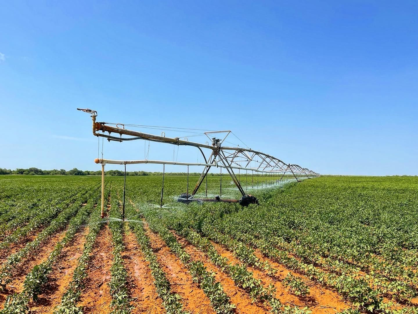 Pearsall, Frio County, TX Farms and Ranches, Recreational Property for