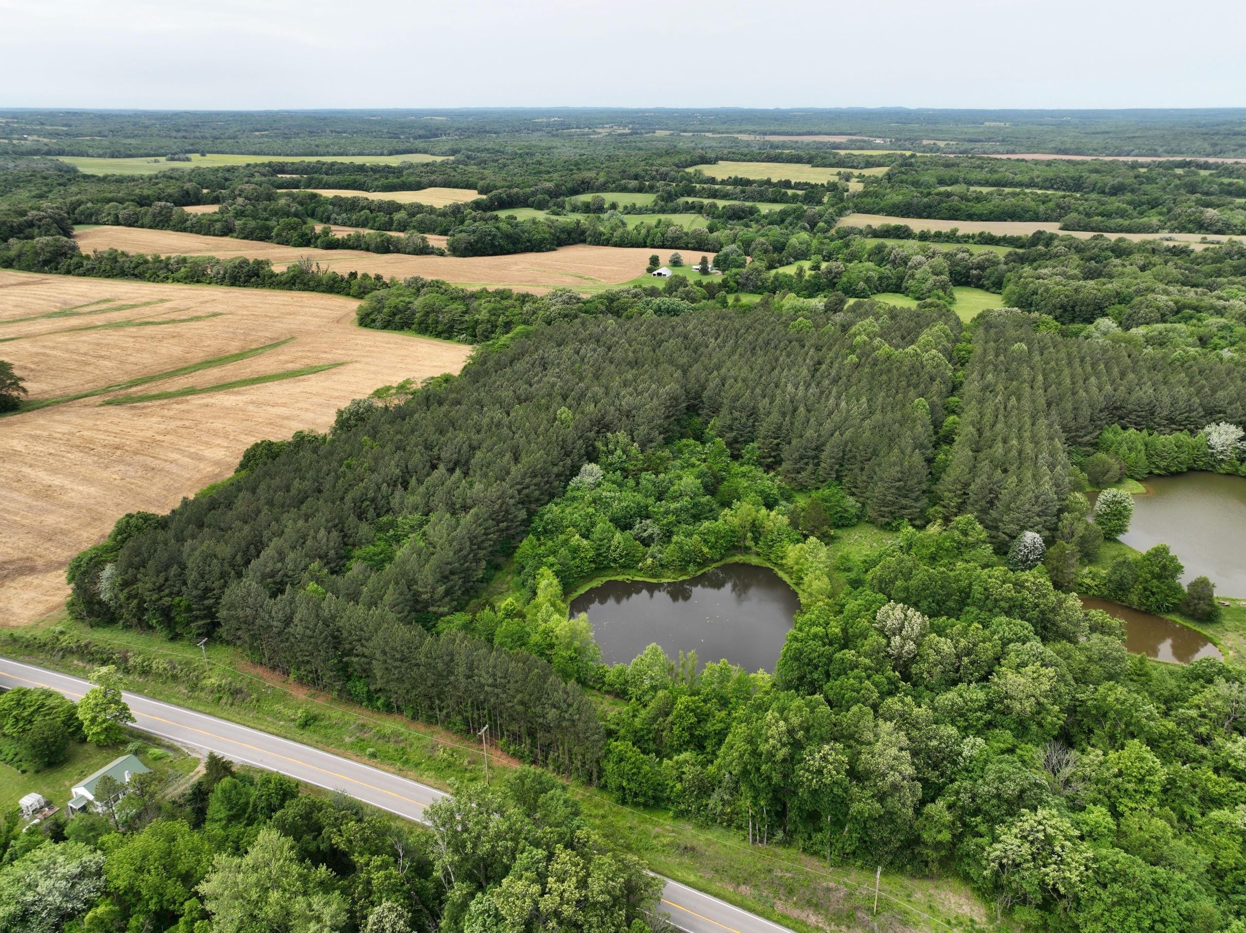 Johnson County, IL Recreational Property, Timberland Property