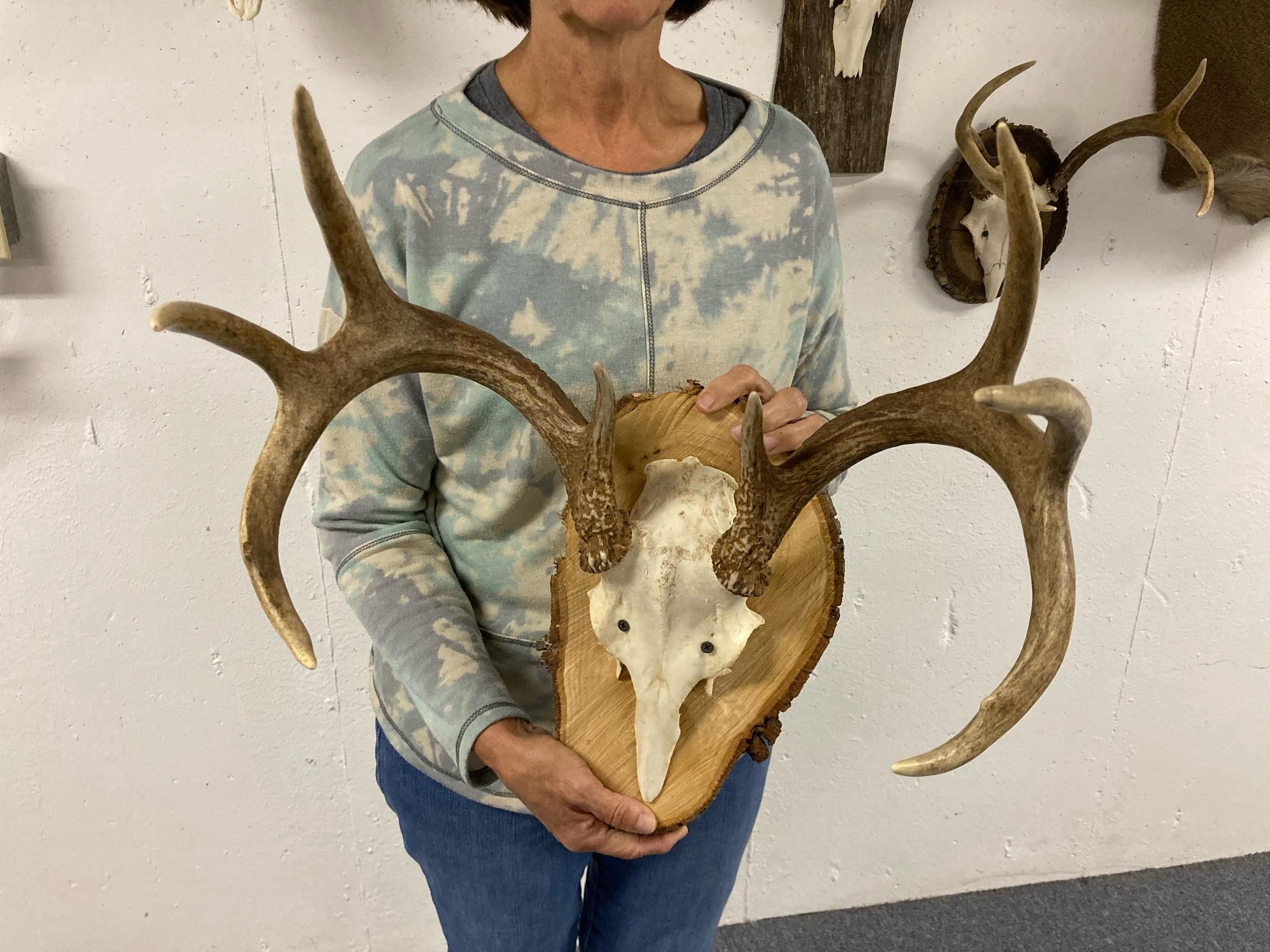 Lena, Oconto County, WI Recreational Property, Hunting Property for