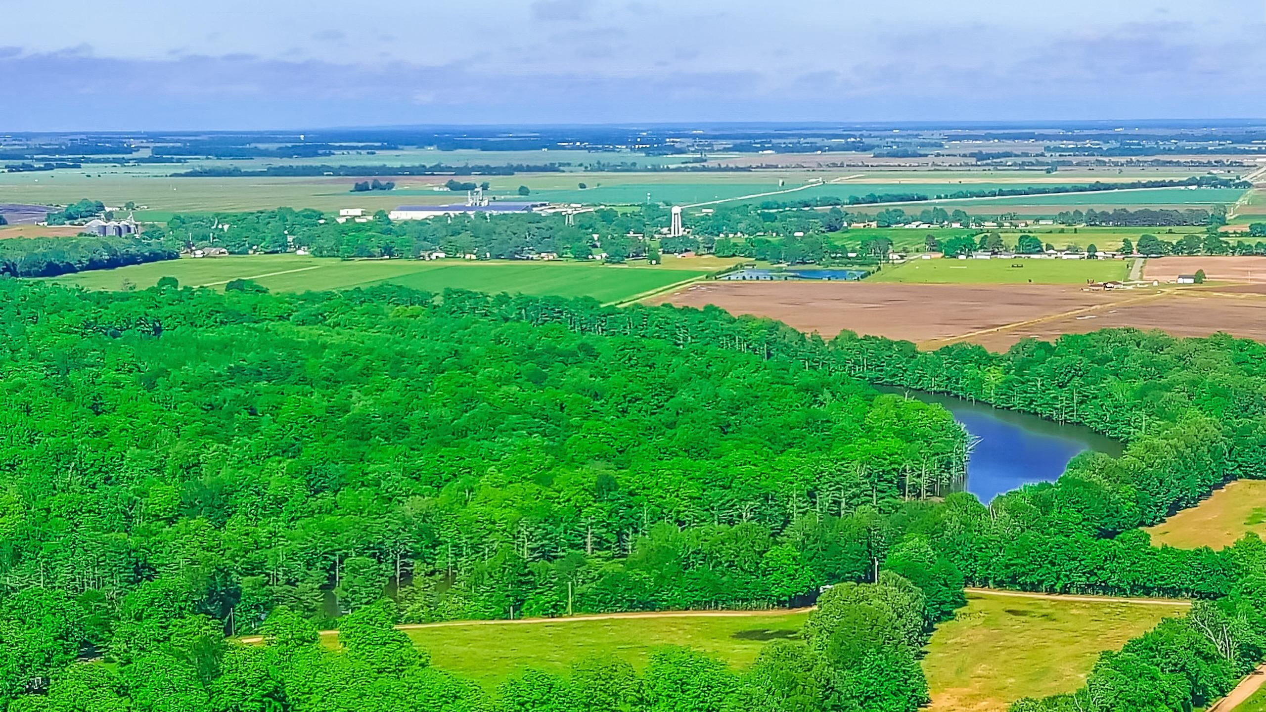 Portia, Lawrence County, AR Farms and Ranches, Hunting Property for
