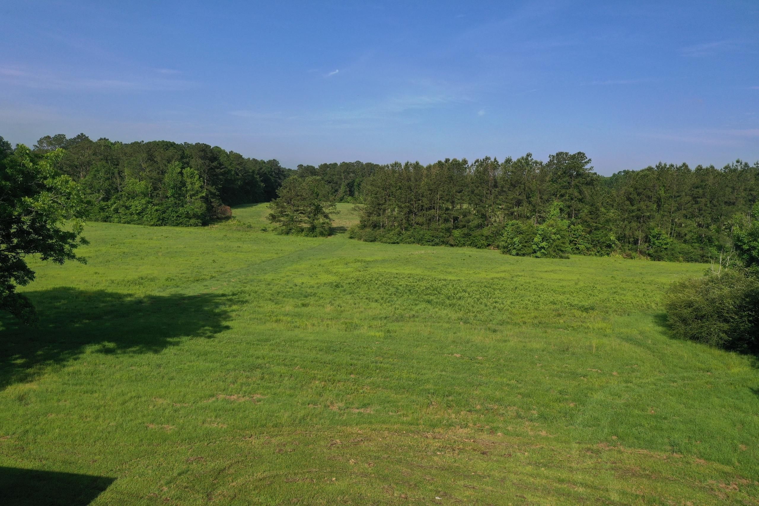 Greensburg, Saint Helena Parish, LA Recreational Property, Timberland Property, Hunting Property