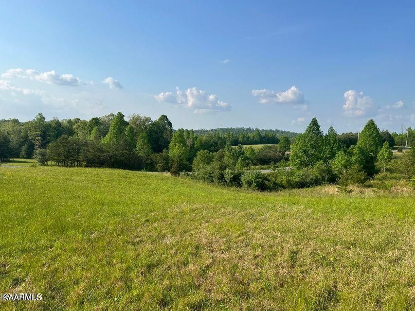 Lancing, County, TN Undeveloped Land for sale Property ID