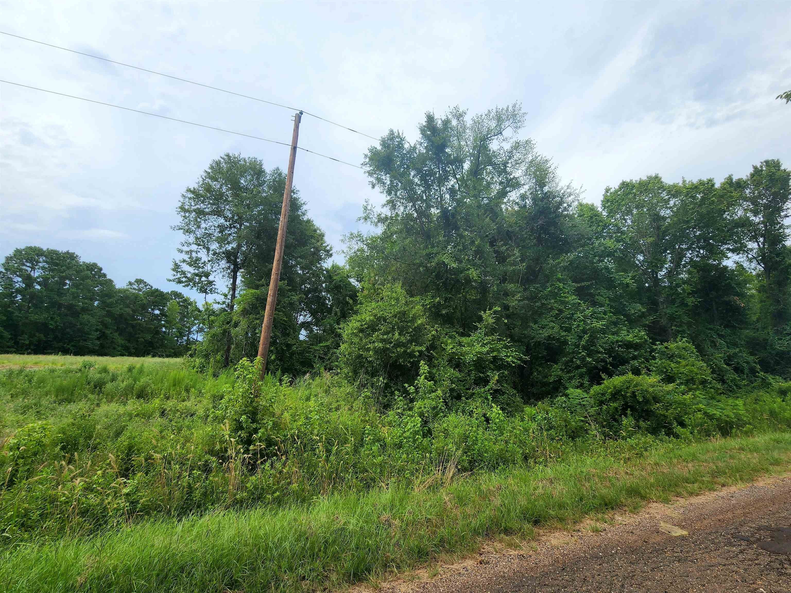 DeBerry, Panola County, TX Undeveloped Land, Homesites for sale