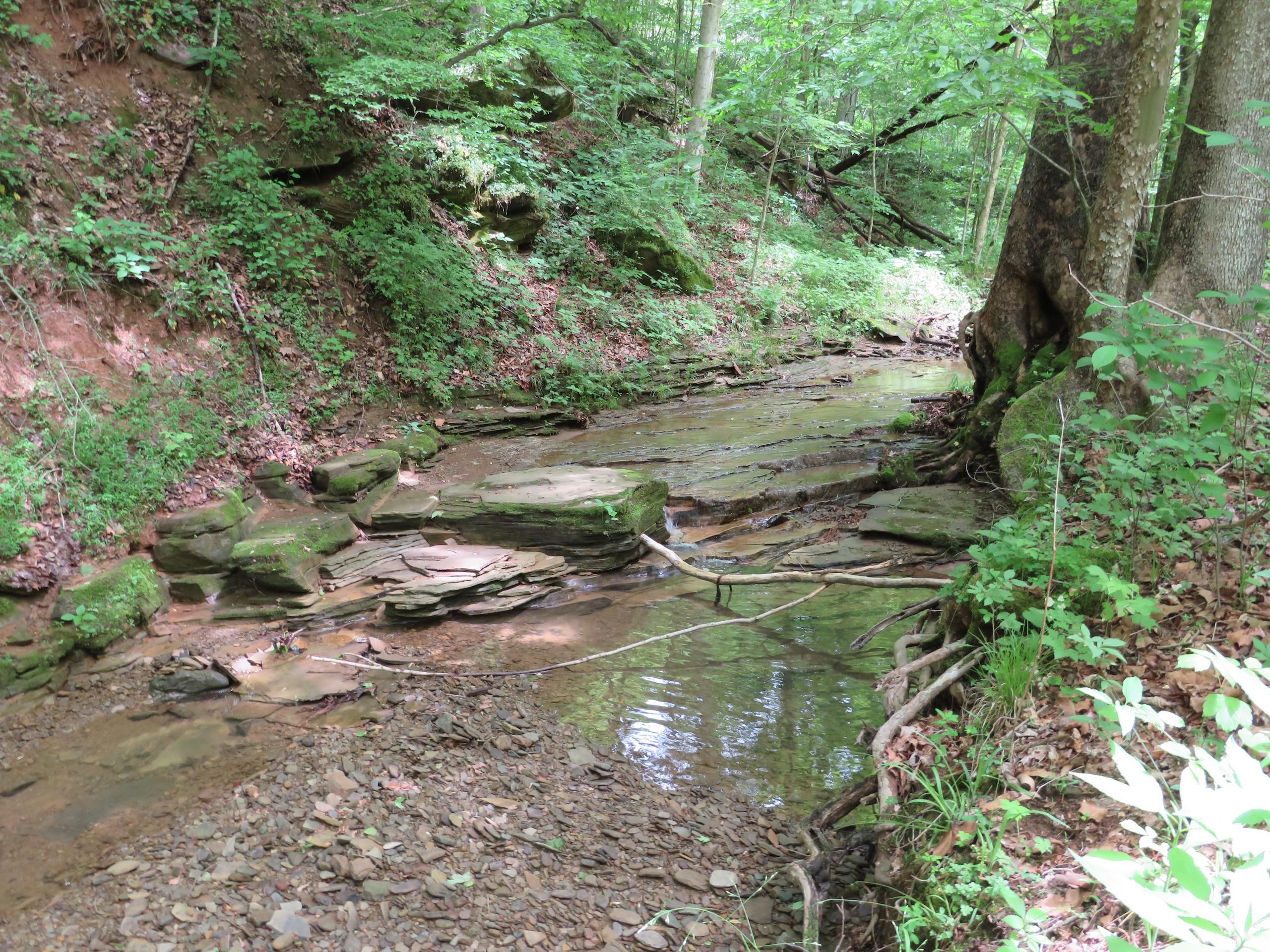Poca, Putnam County, WV Recreational Property, Timberland Property
