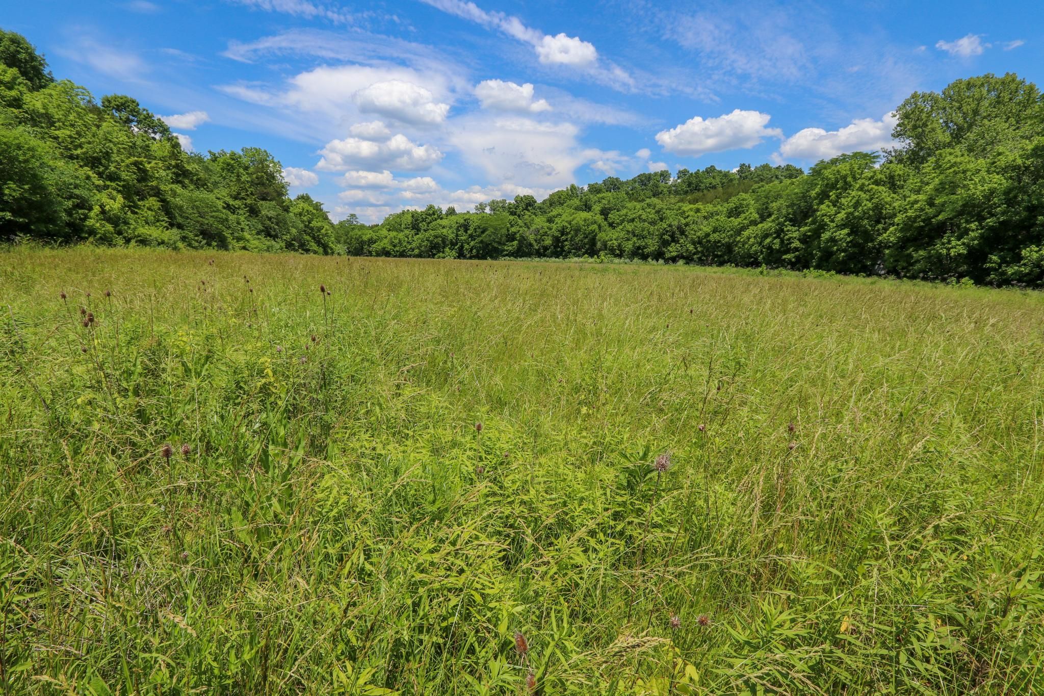 Mount Olivet, Robertson County, KY Recreational Property, Timberland