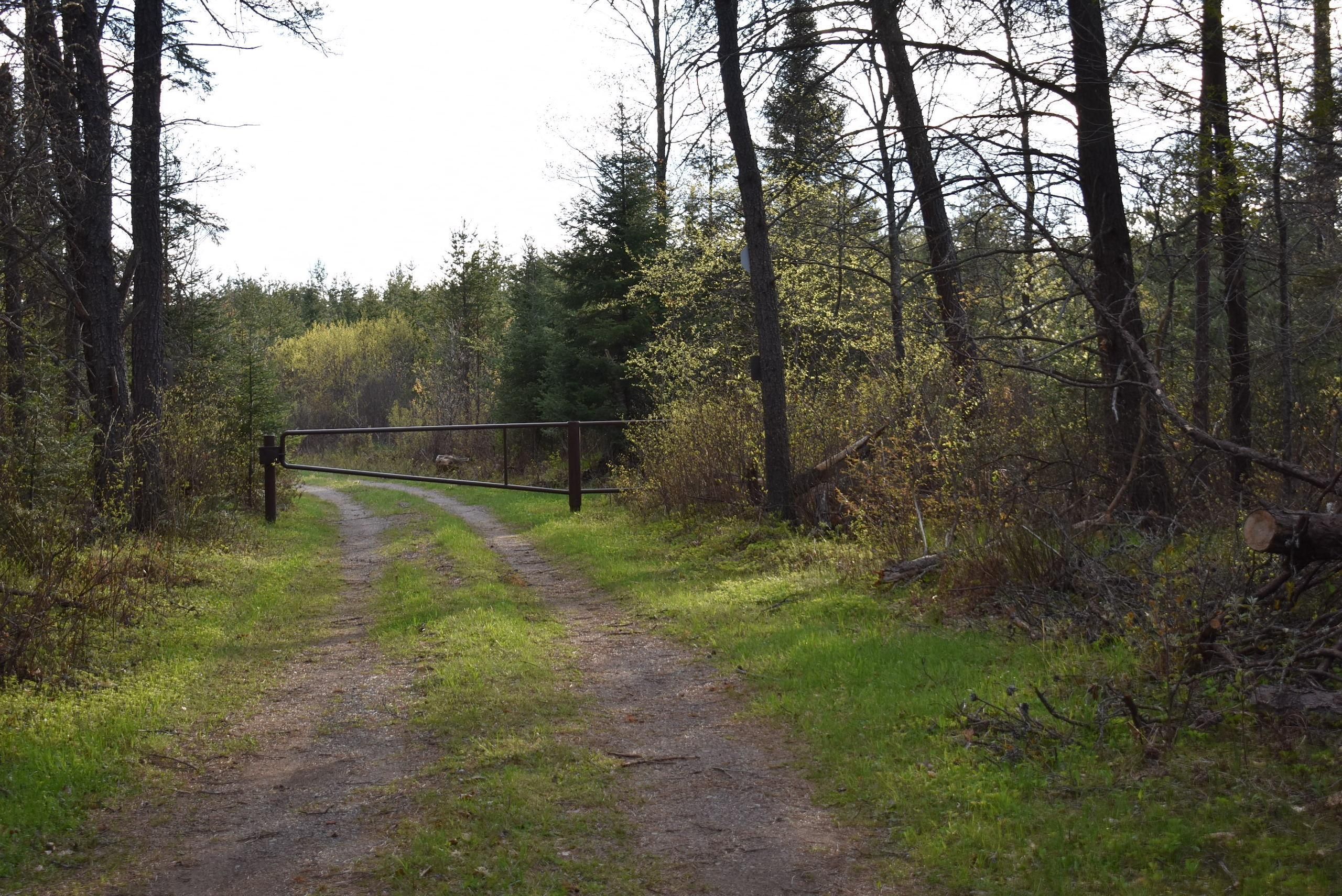 Conover, Vilas County, WI Recreational Property, Hunting Property for