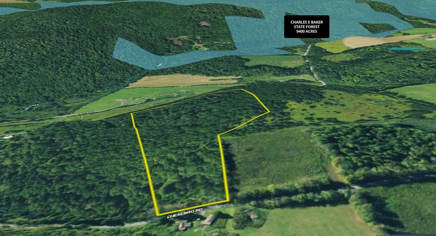 Brookfield, Madison County, NY Recreational Property, Timberland