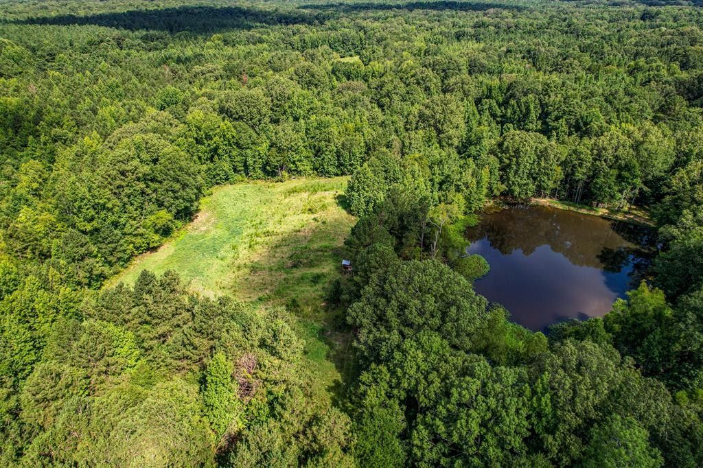 Utica, Hinds County, MS Undeveloped Land for sale Property ID