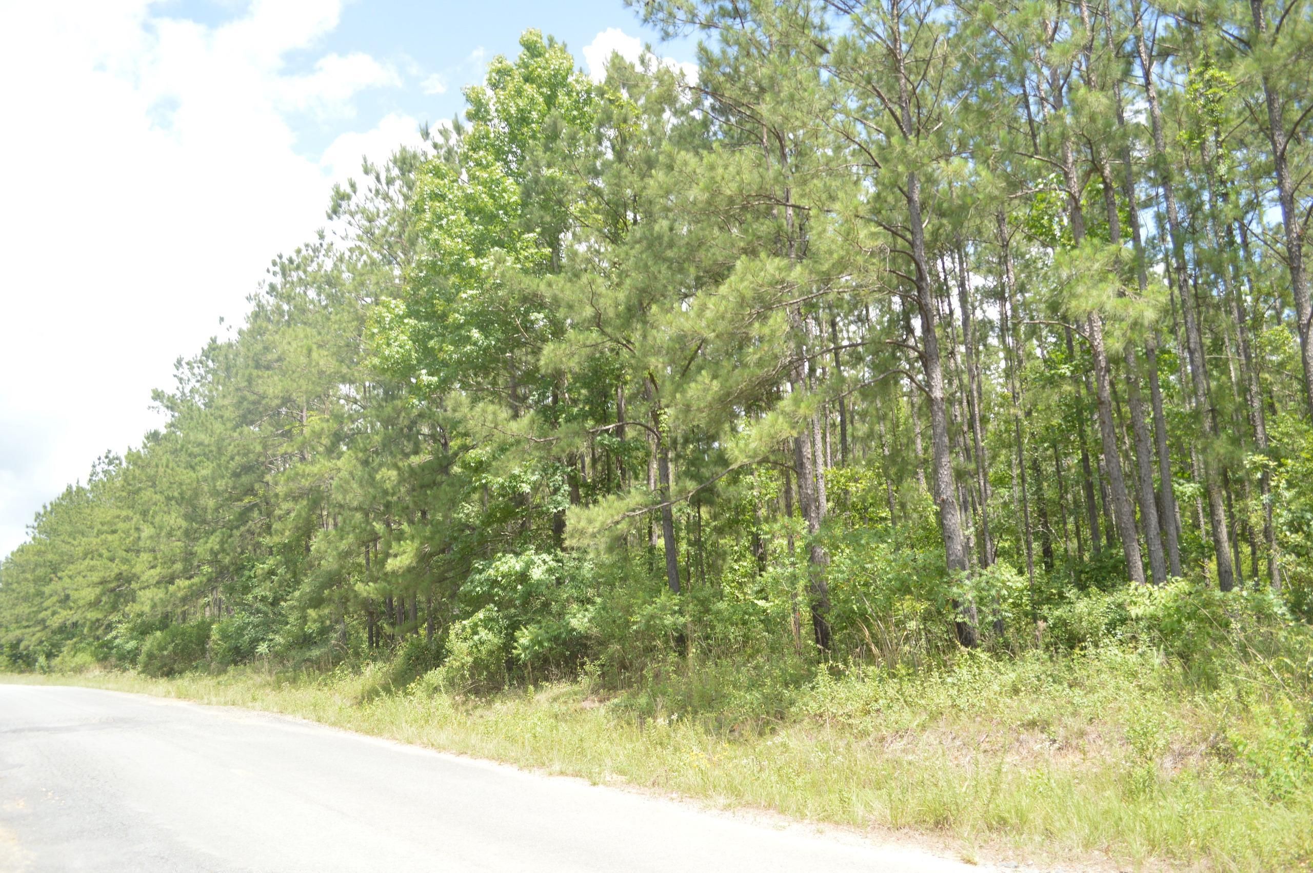 Pitkin, Vernon Parish, LA Recreational Property, Timberland Property