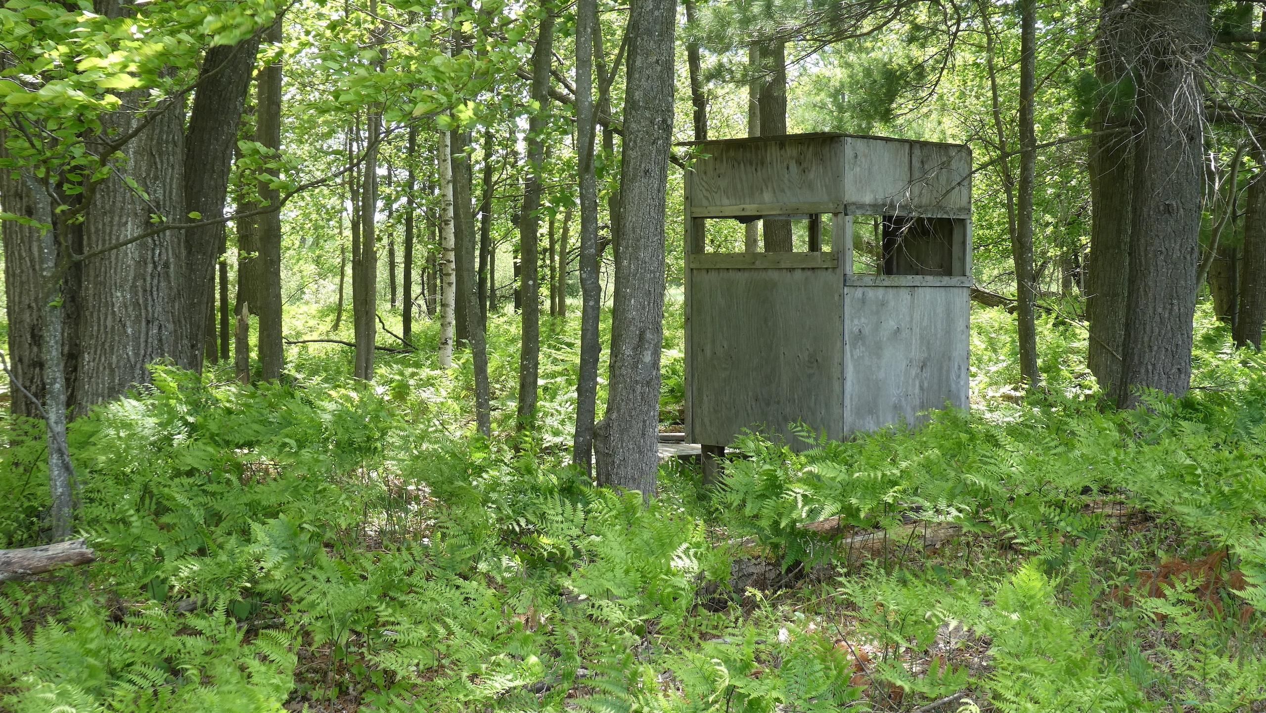 Alger, Arenac County, MI Recreational Property, Timberland Property