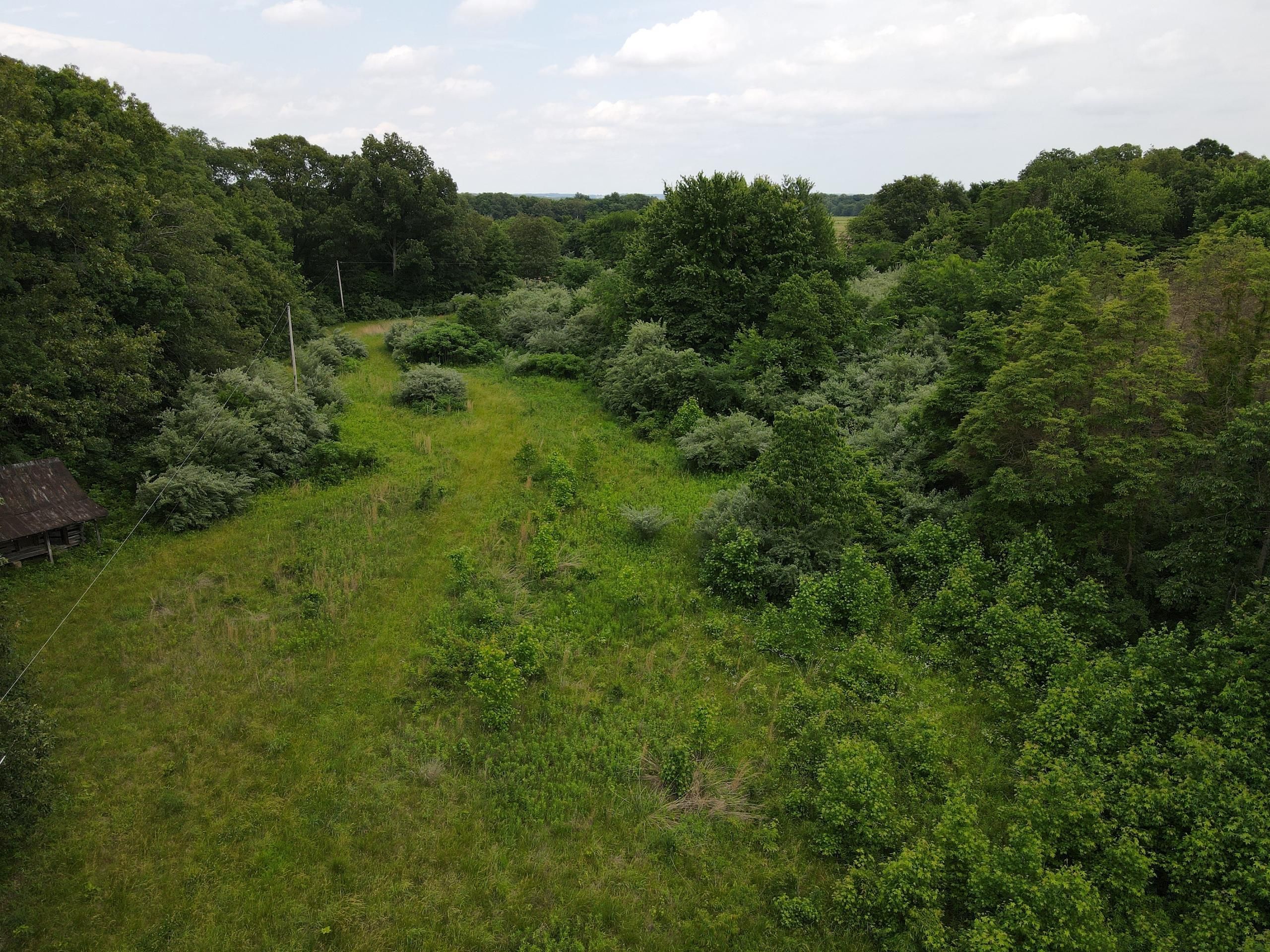 Mcleansboro, Hamilton County, IL Recreational Property, Timberland