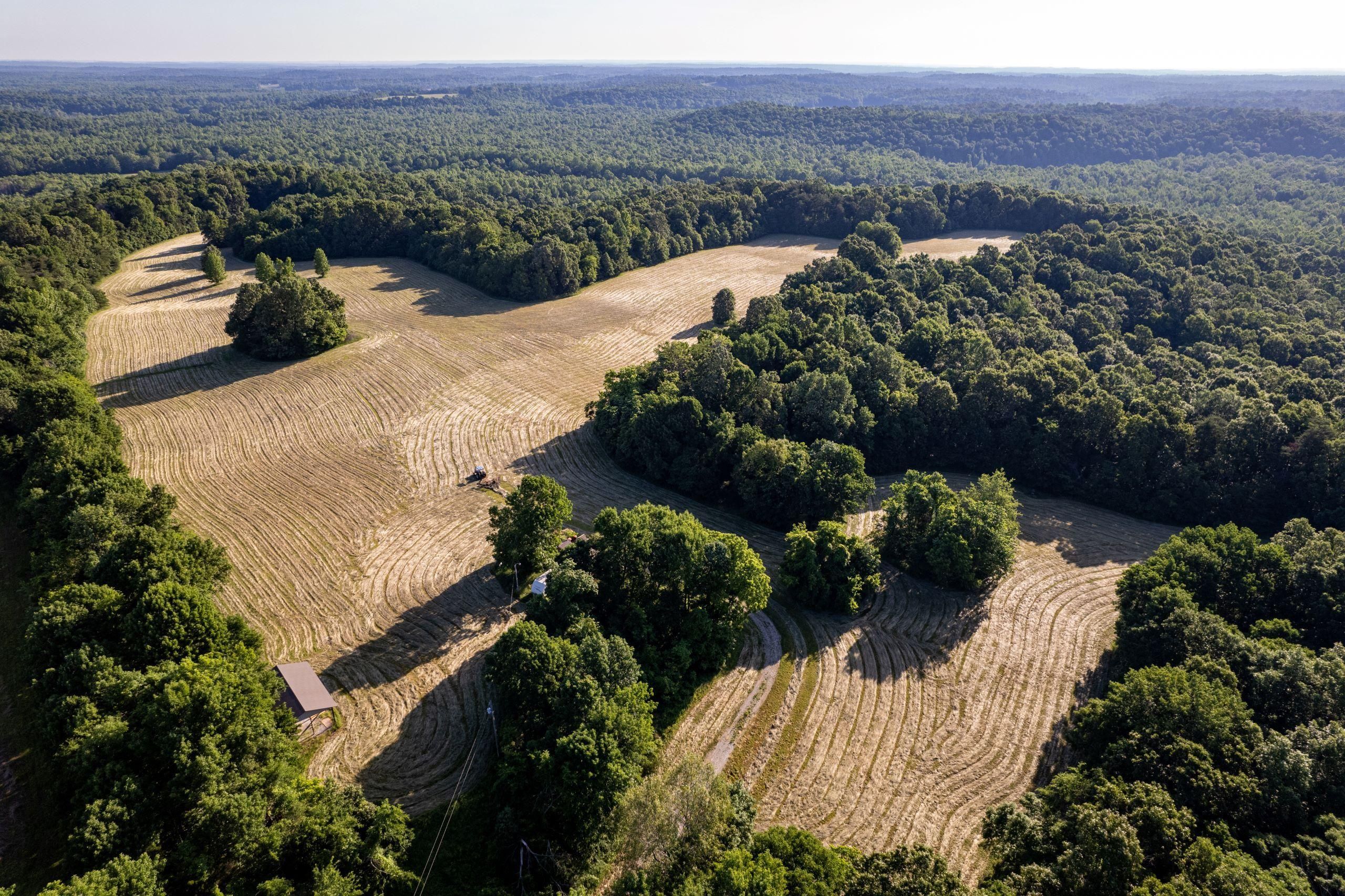 Princeton, Caldwell County, KY Hunting Property for sale Property ID
