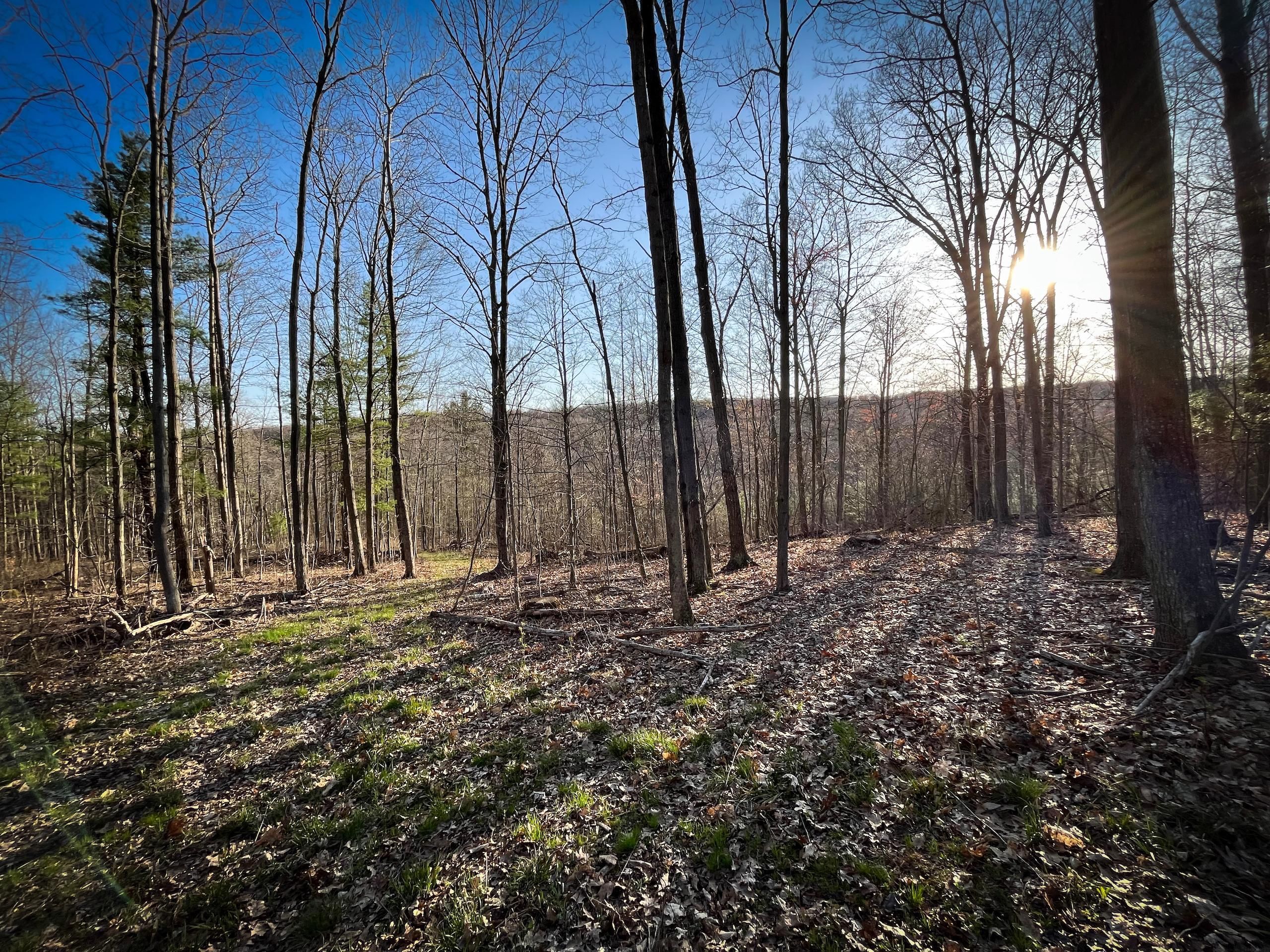 Pine Valley, Chemung County, NY Recreational Property, Timberland