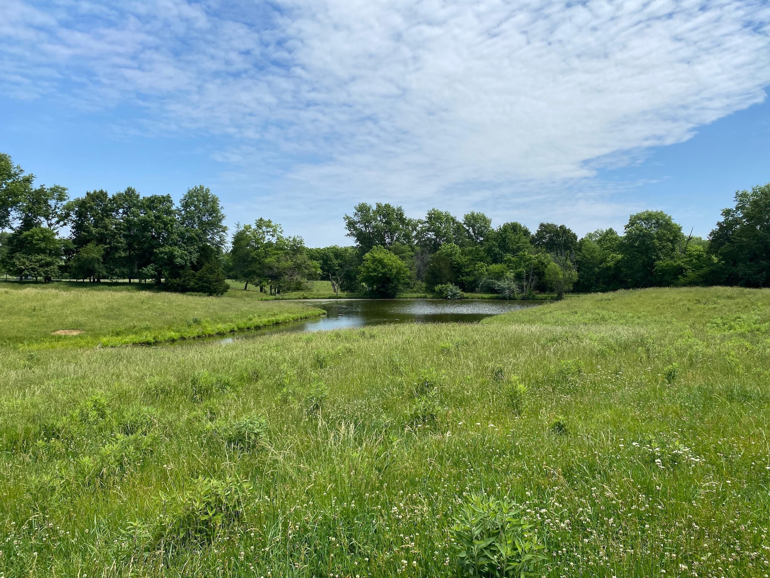 Brownstown, Fayette County, IL Farms and Ranches, Recreational Property