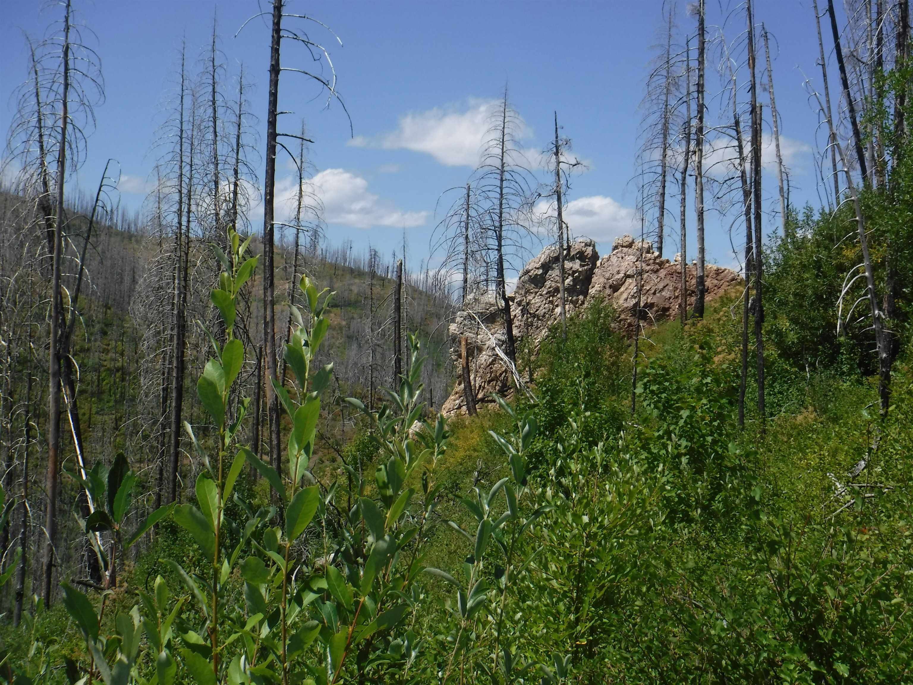 Hunters, Stevens County, WA Undeveloped Land, Lakefront Property