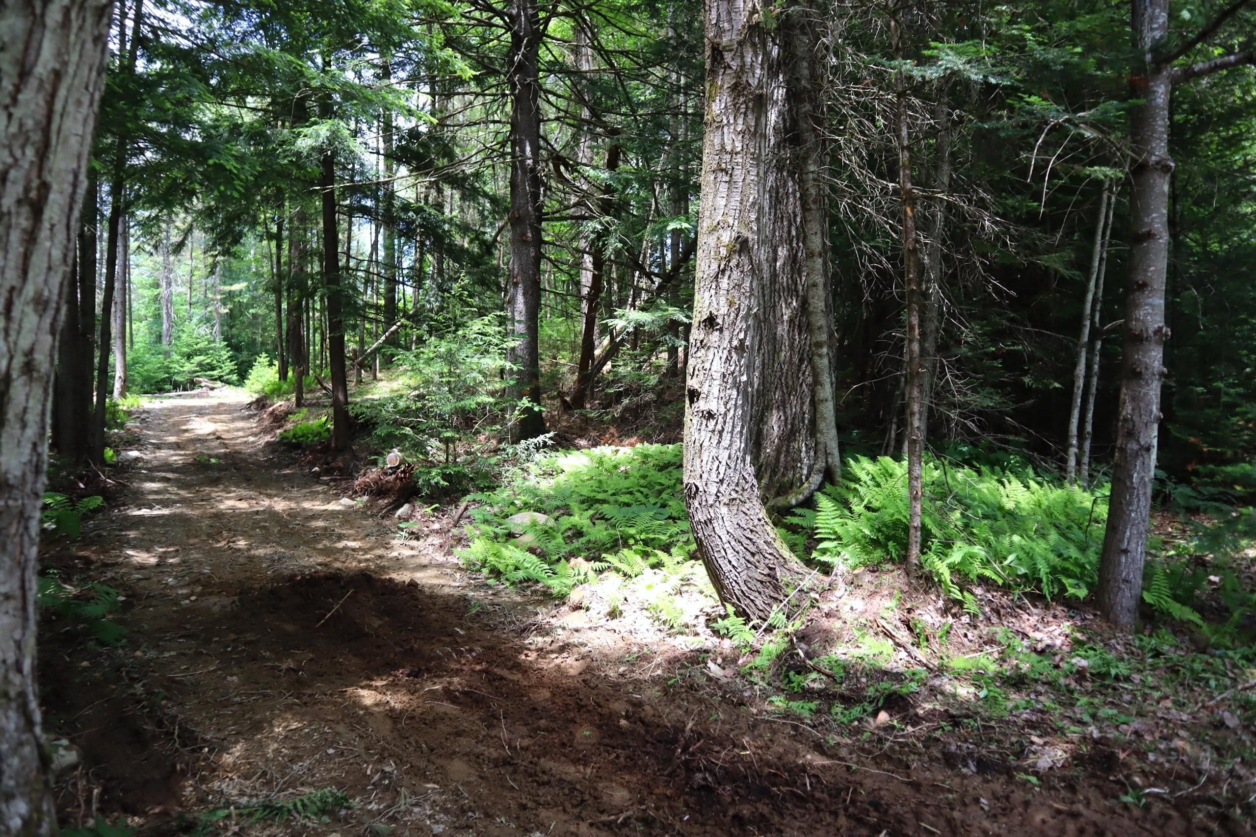 Galway, Saratoga County, NY Recreational Property, Timberland Property