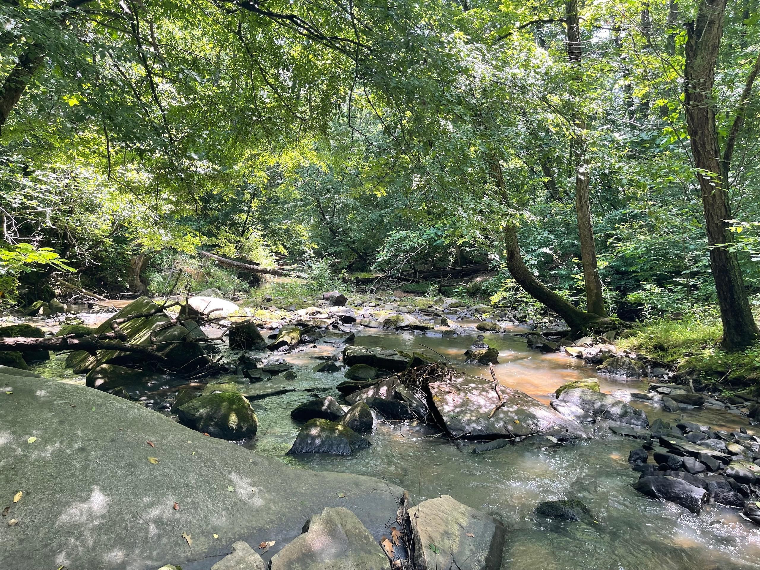 1371 Alexis High Shoals Road, Dallas, NC 28034 LandWatch
