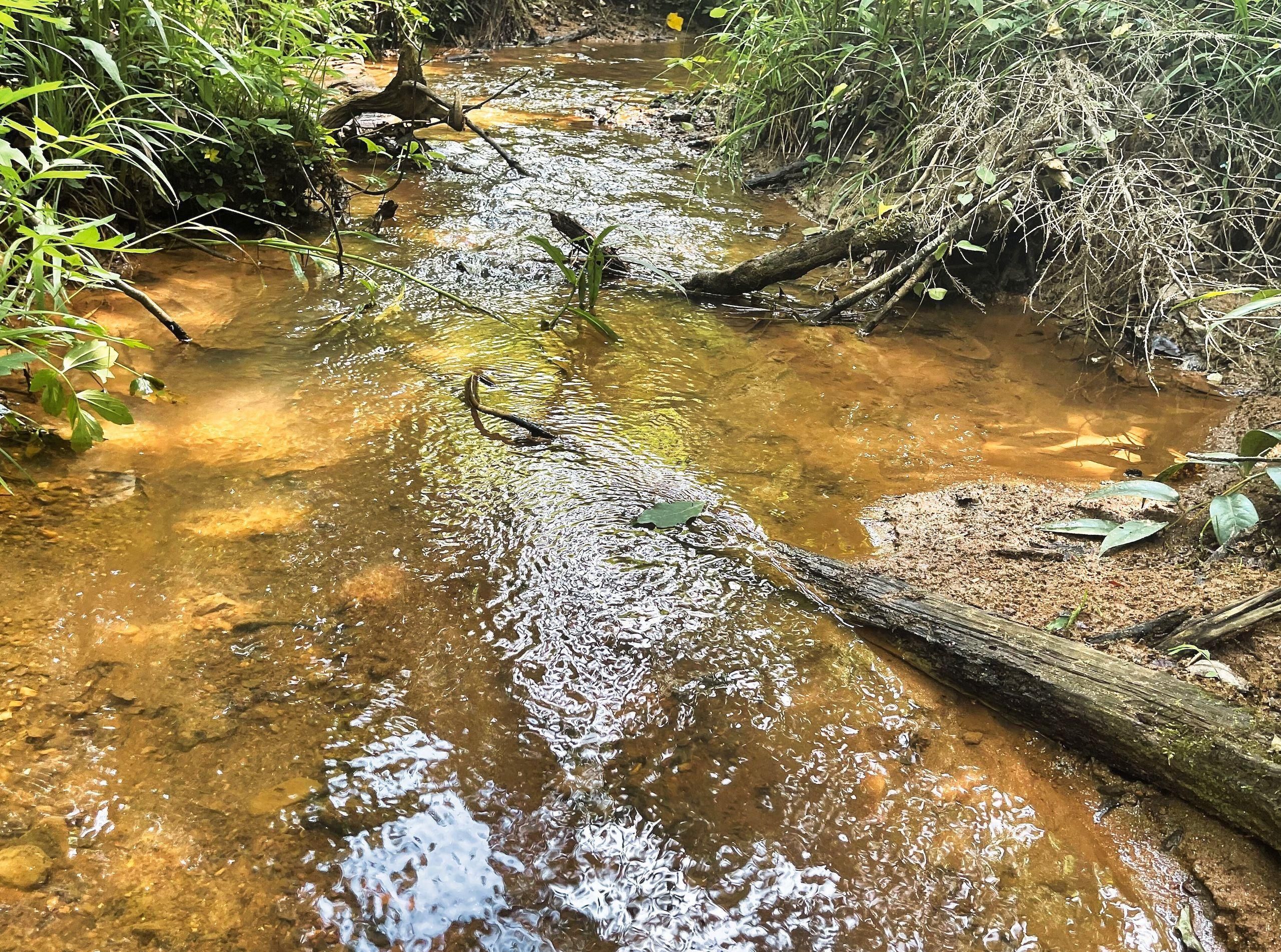 Pickens, Pickens County, SC Recreational Property, Timberland Property