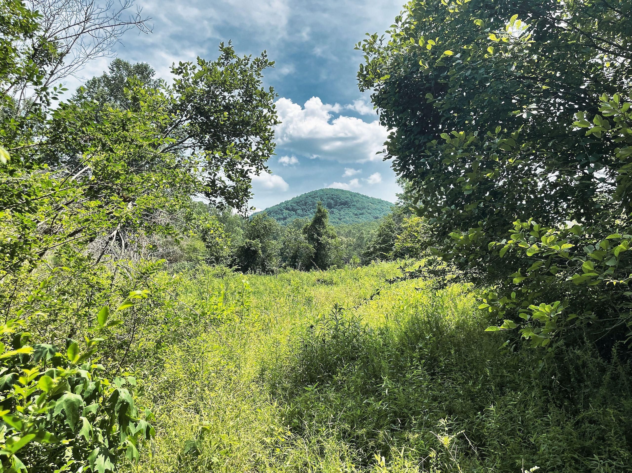 Hidden Valley Road, LotWP003, Pickens, SC 29671 LandWatch