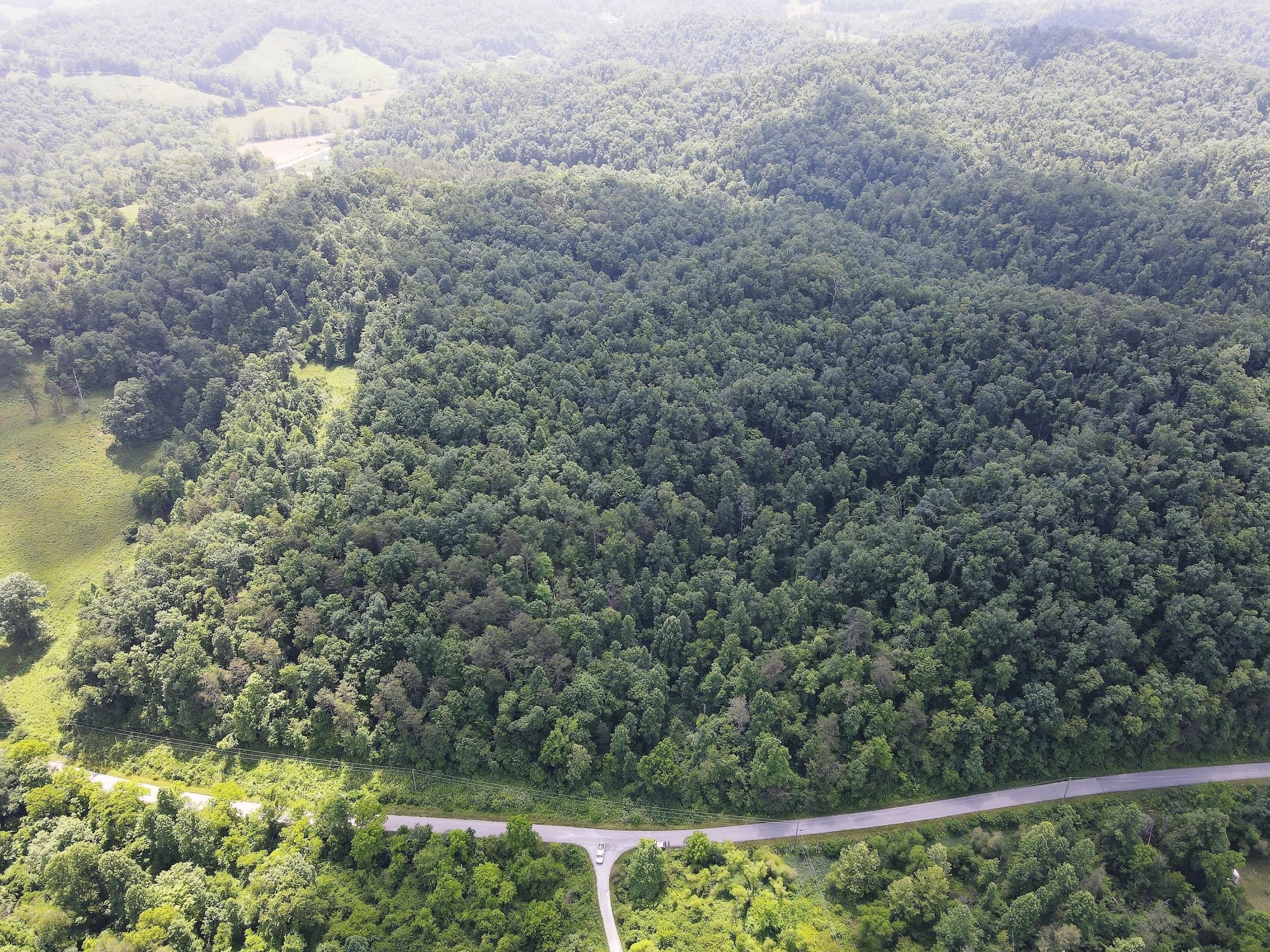 Flatgap, Johnson County, KY Recreational Property, Timberland Property, Hunting Property for