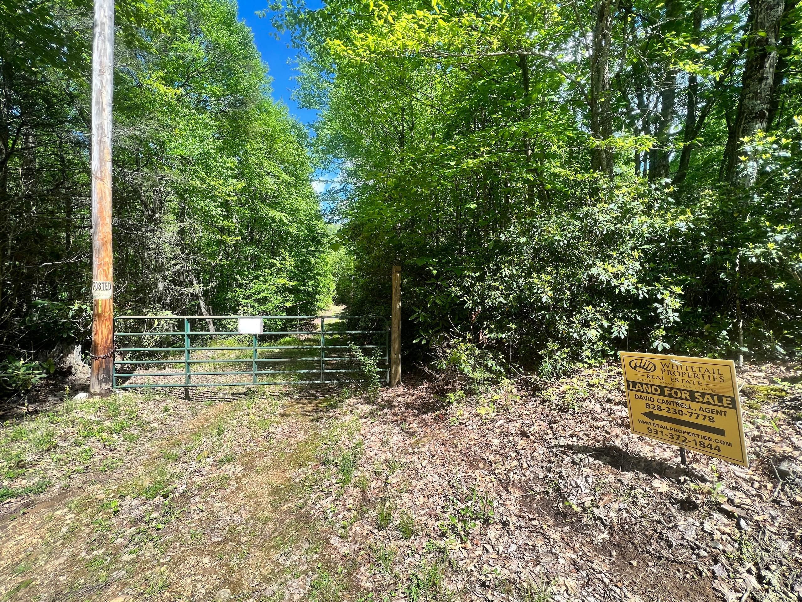 Mountain City, Johnson County, TN Recreational Property, Timberland